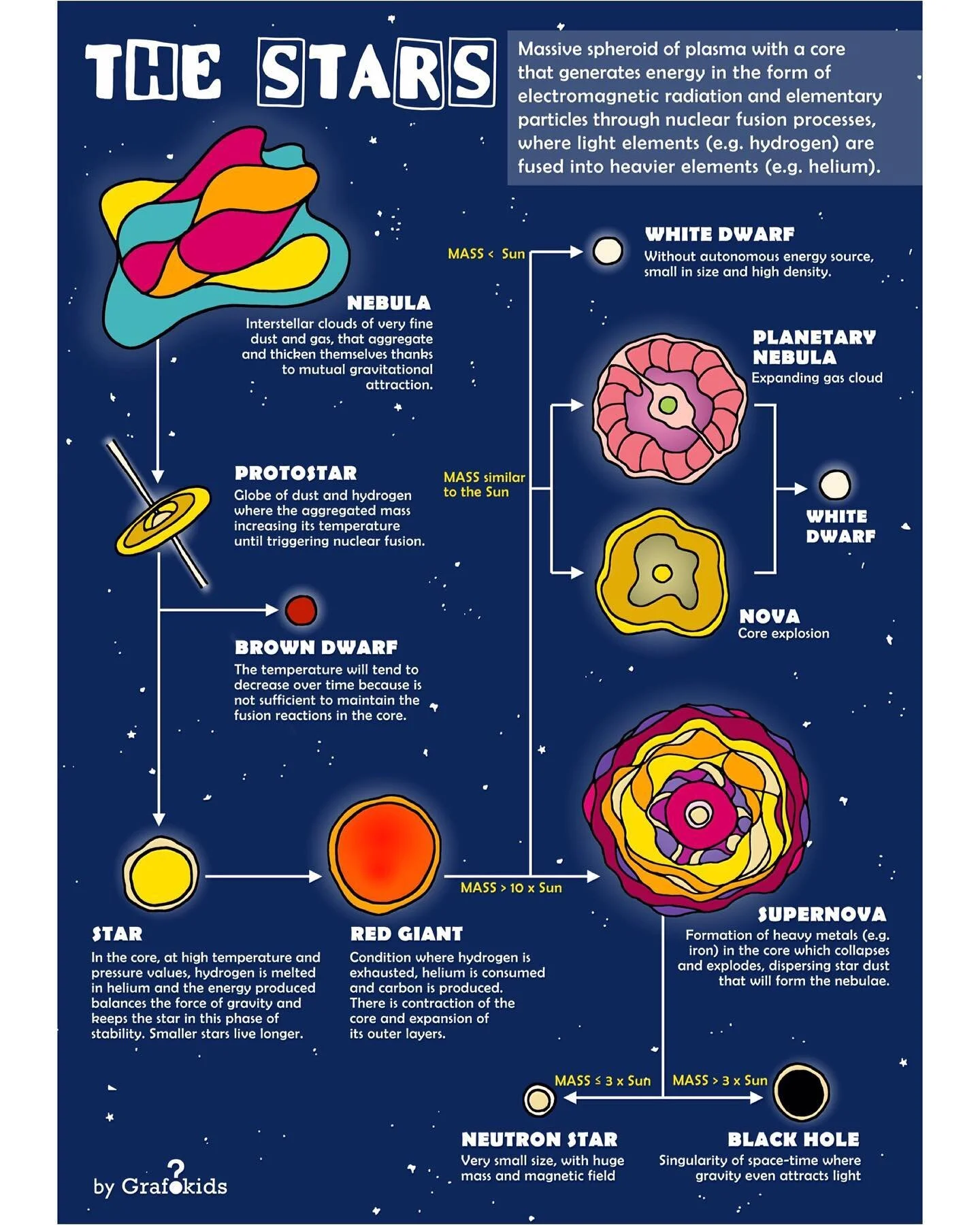 The Stars!!🌟💫👉scroll to see it in spanish and italian!!✨What are the stars made of? How are they formed and what are their phases?
.
.
🌈Follow us to see what&rsquo;s coming next 👉 @grafokids
.
.
🌈 We create infographics for your kids! Send us t