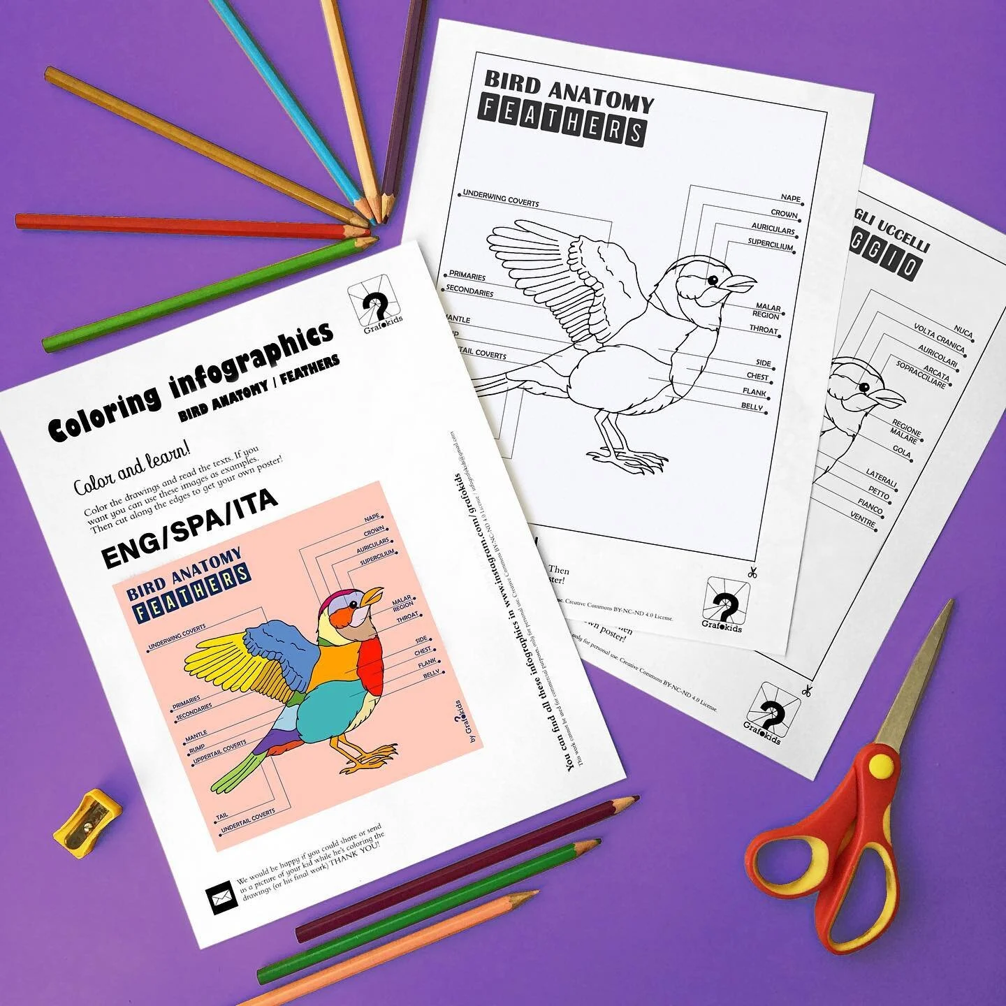 FREE/GRATIS👉In english, spanish and italian!! Printable coloring pages!!✨Bird Feathers 🐥 If you want to download it check the link in bio &quot;FREE DOWNLOAD/DESCARGAS GRATUITAS&quot;👍
.
.
🌈 Follow us to see what&rsquo;s coming next 👉 @grafokids