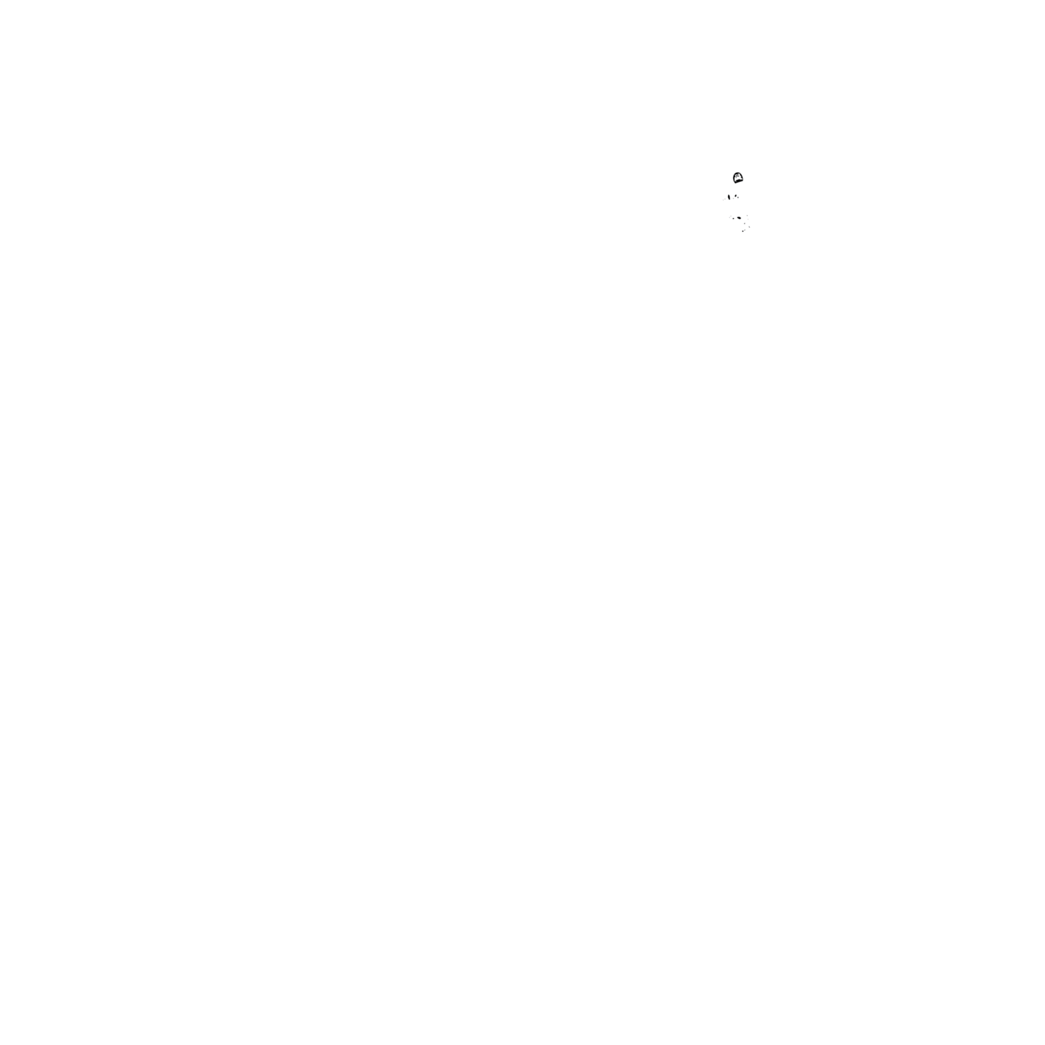 The New Music