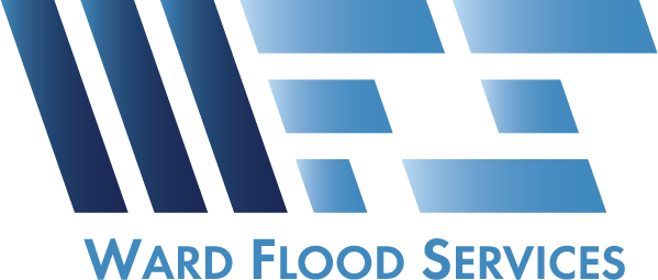 WFS COLOR ON DARKpng.png