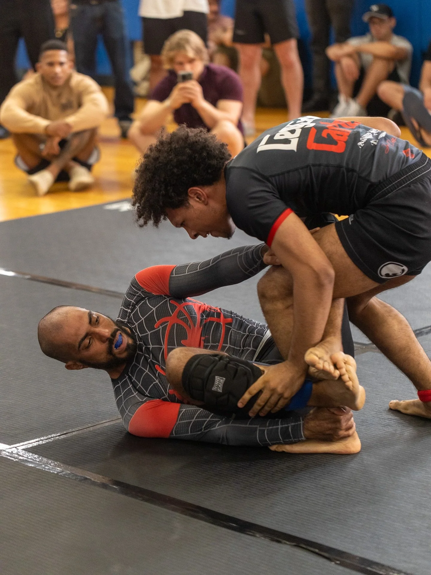 @harlemfreefight Sub-Only Showcase