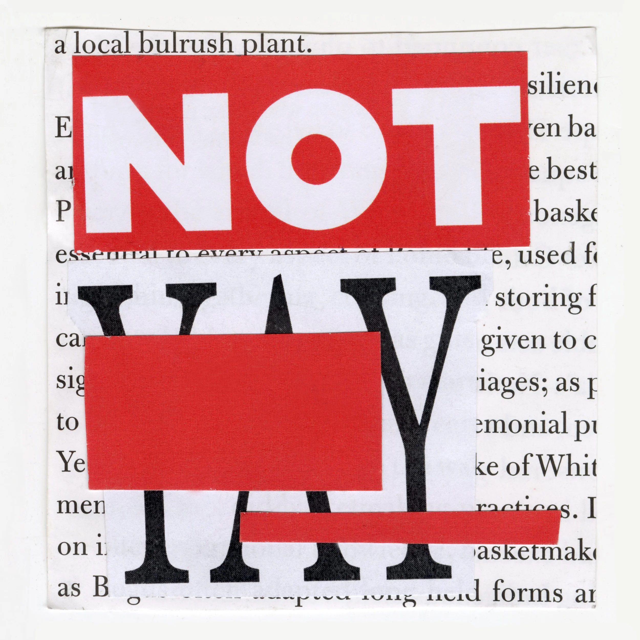 Final Collage 3 Edit 2.jpg