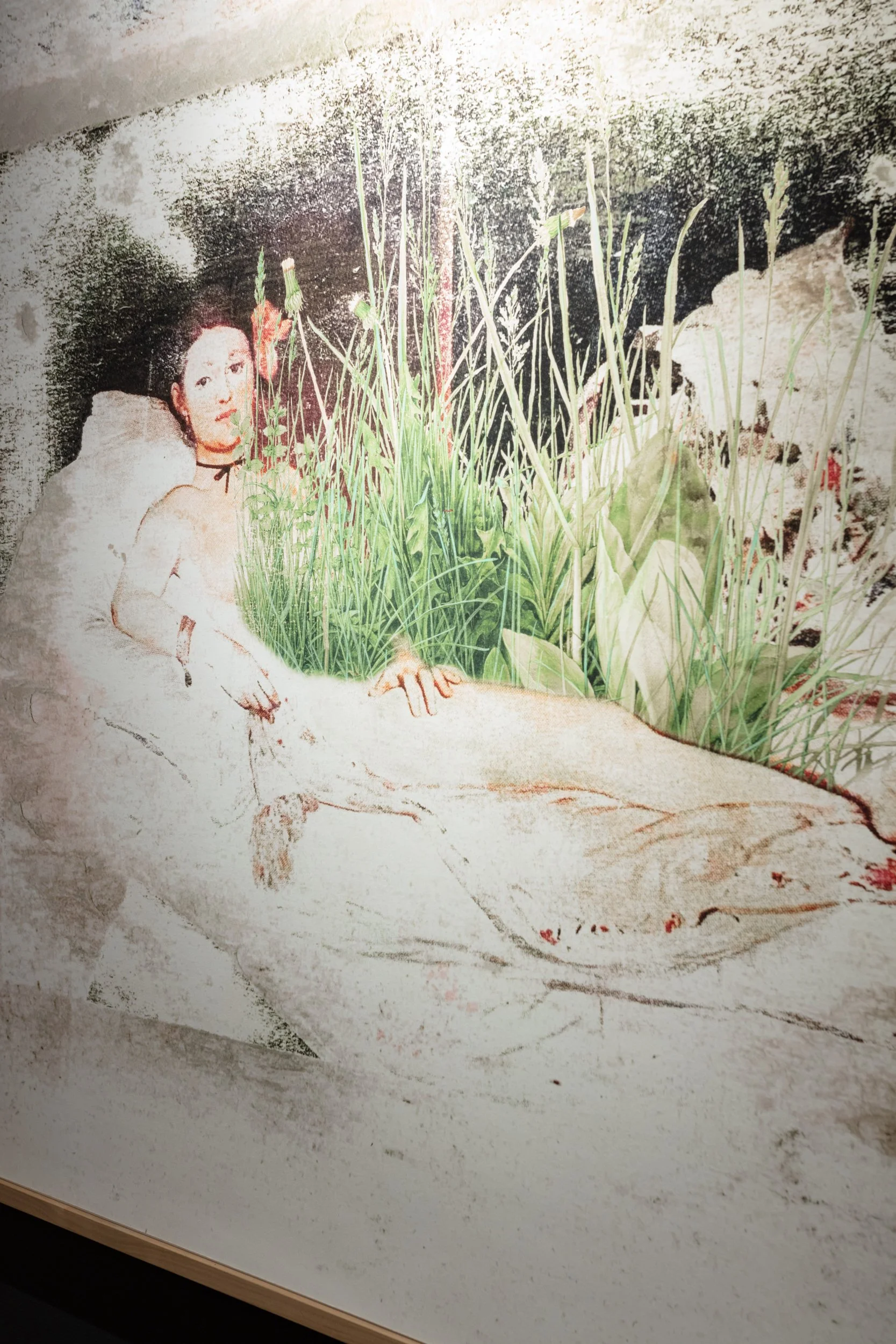 Poehlein_Hanita_PCNW_09.jpg