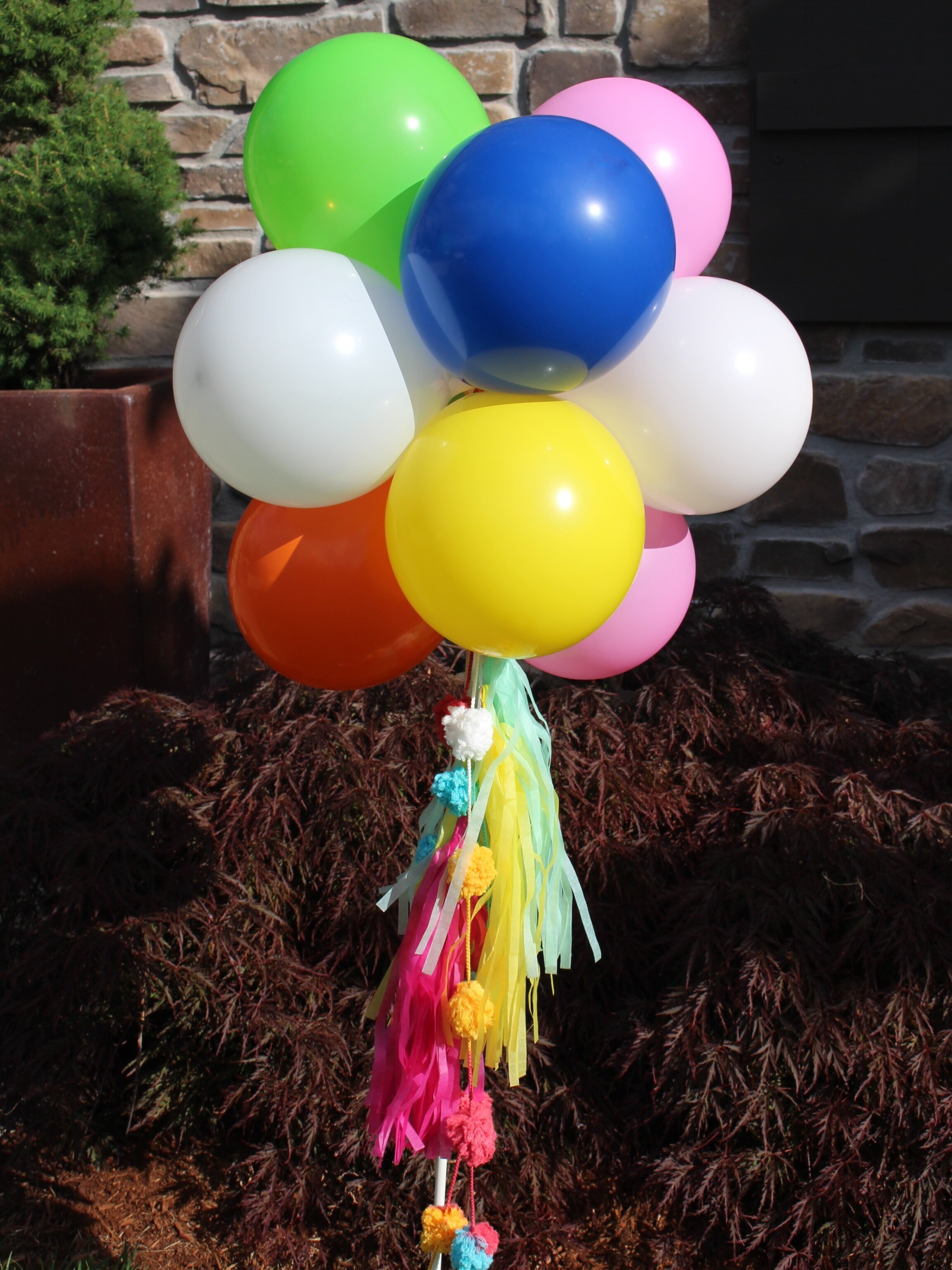 Pom Pom Yard Stick