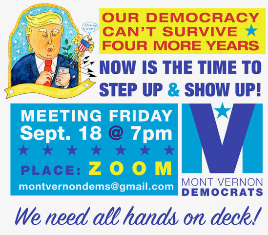 Zoom With The MV Dems