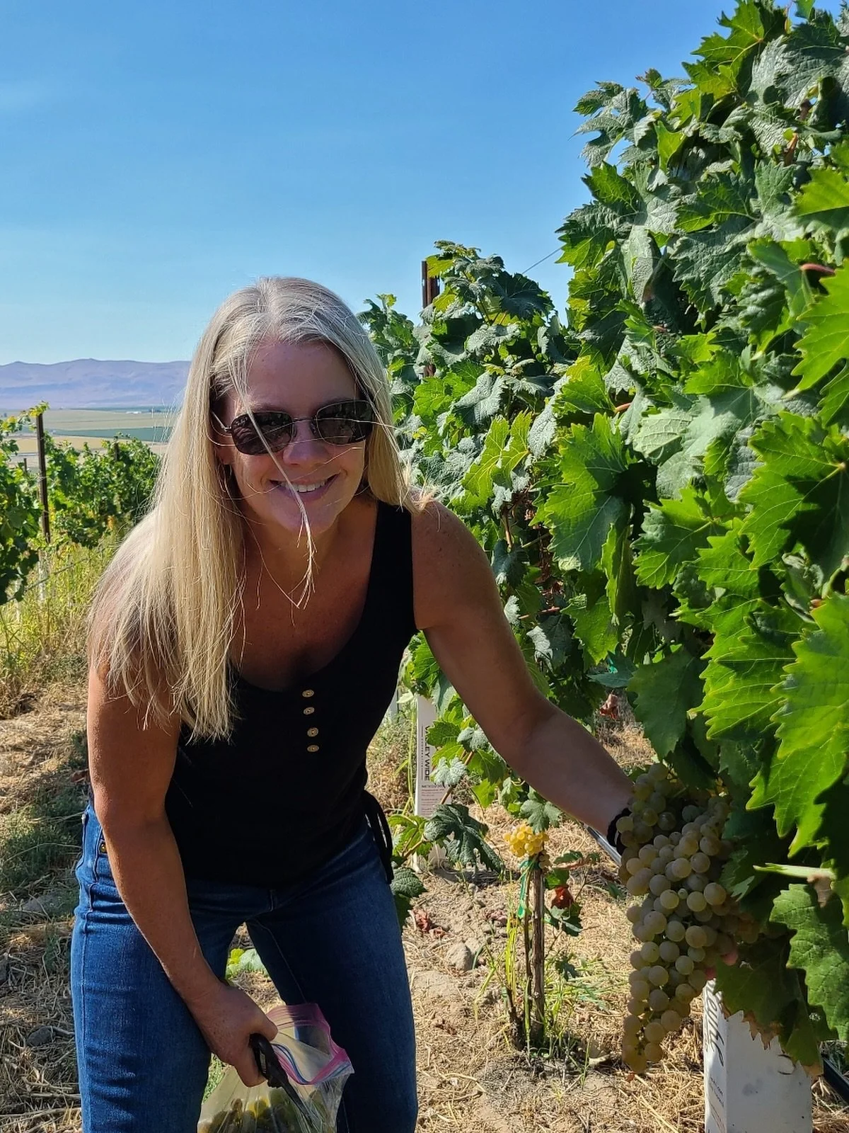Behind the Barrel with Callan Cellars
