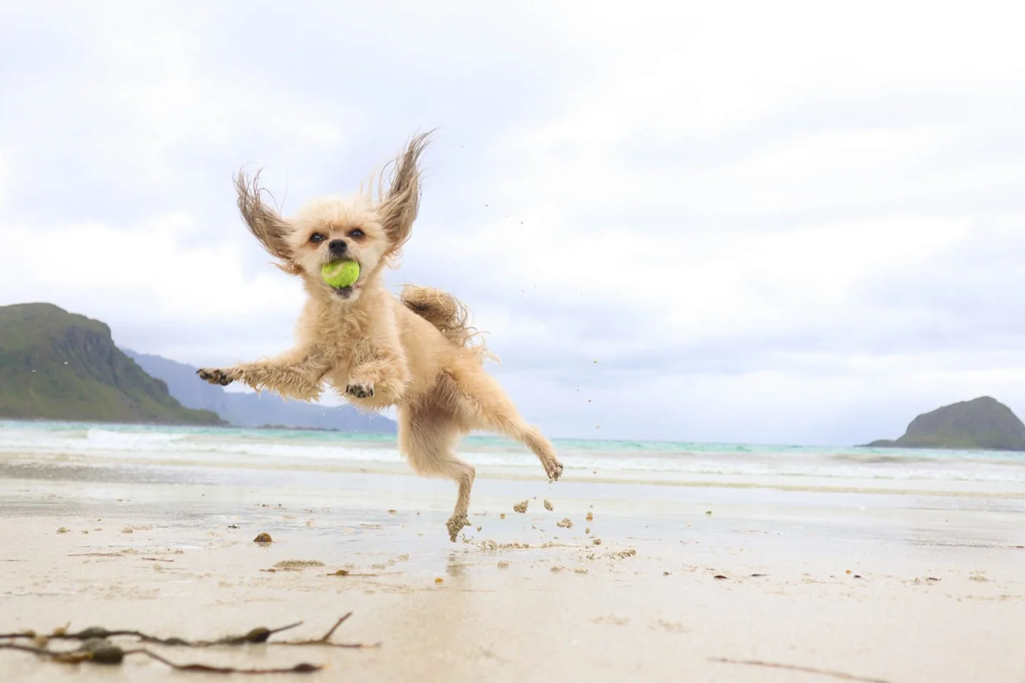 Grunnkurs - April 2026