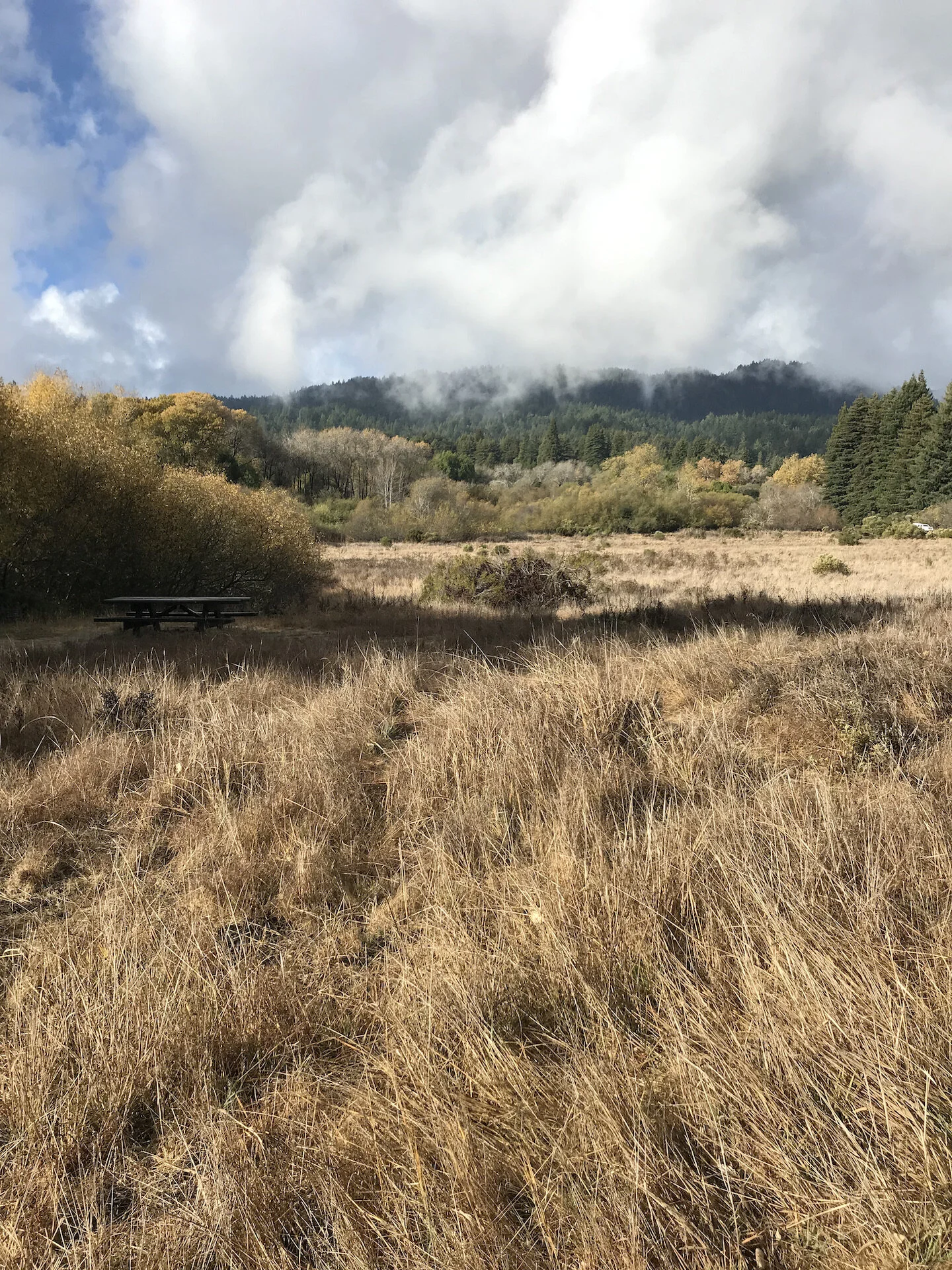 The Month of Tevet: Meditation for Anger