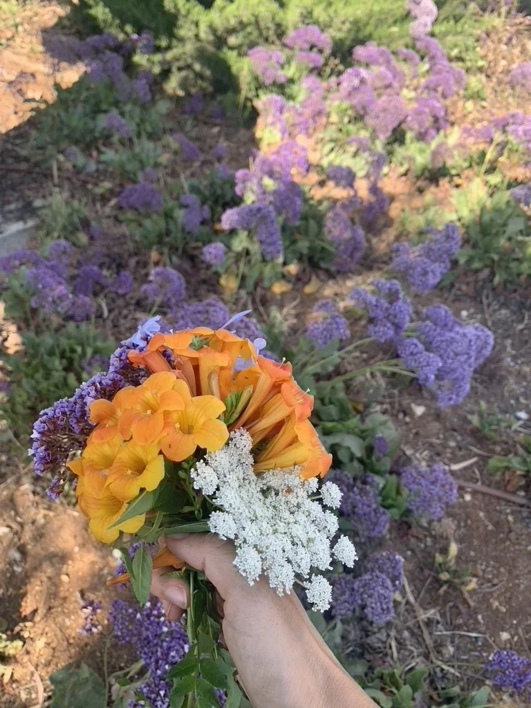 Flowers for Shavuot