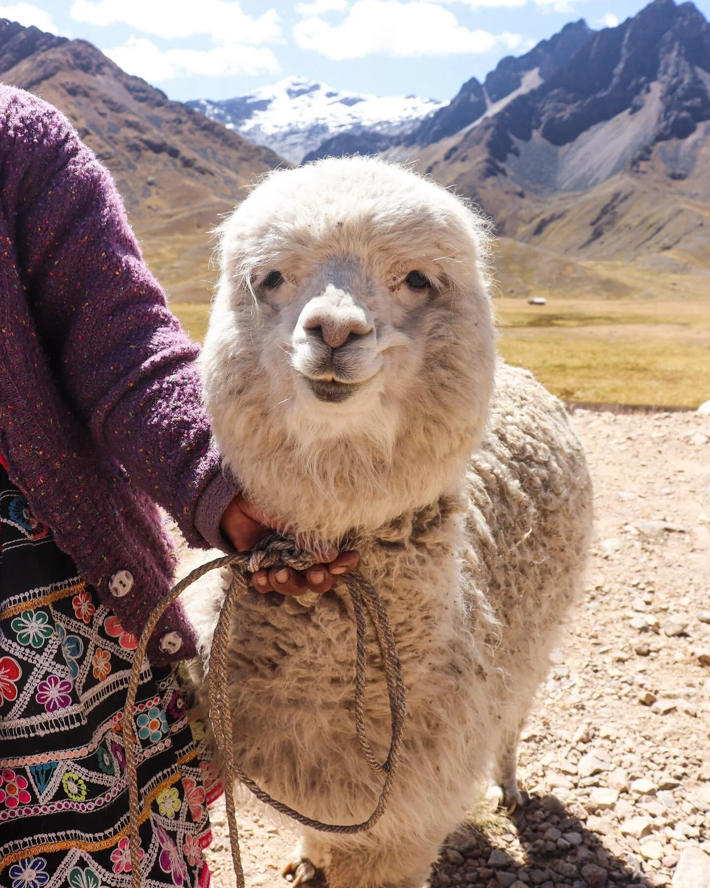 All smiles for another Peru blog post now on the blog 🦙