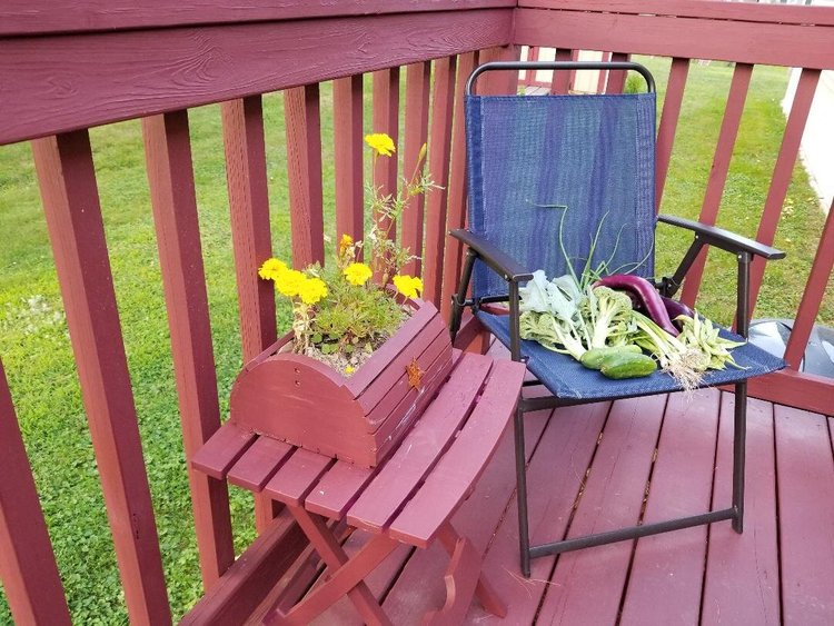 News — Pleasant Acres Estates