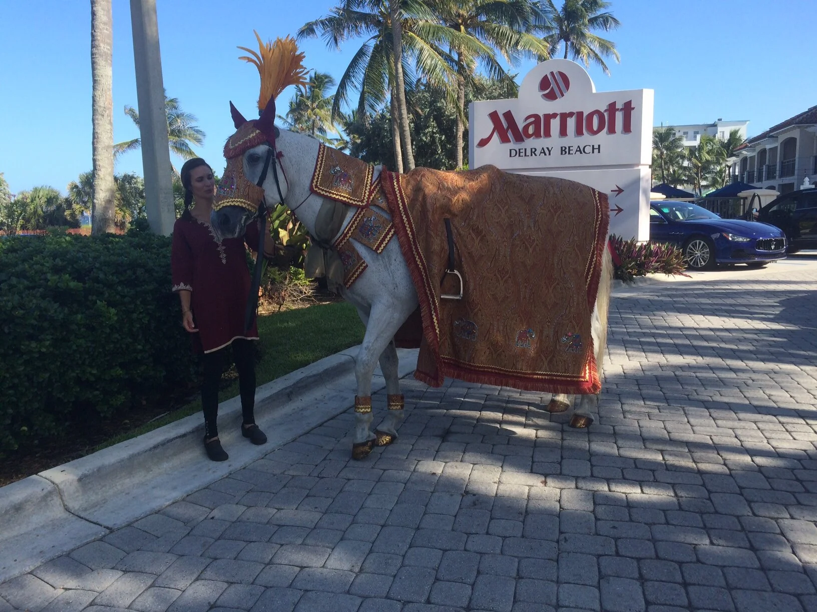Baraat Celebration in Delray Beach