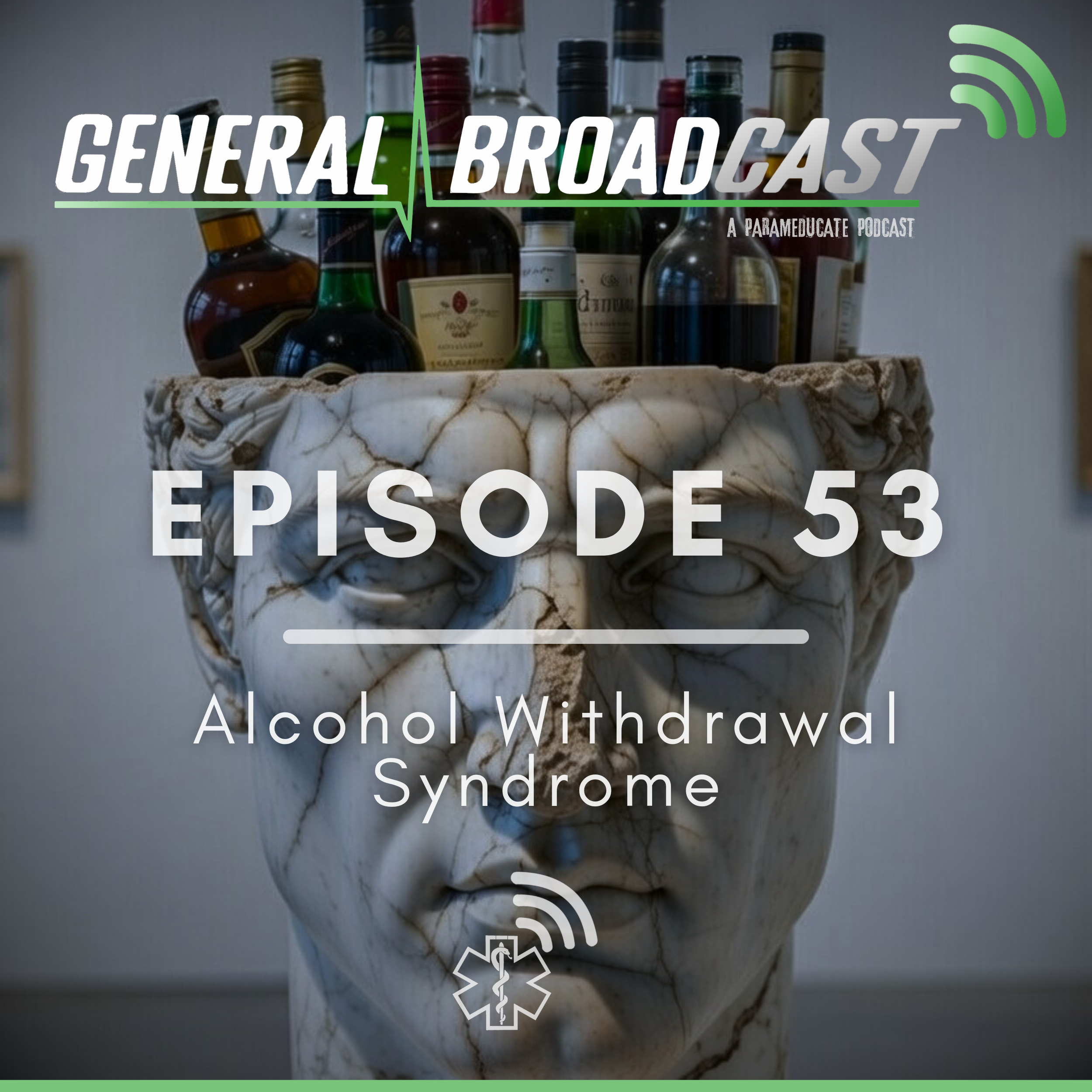 Alcohol withdrawal syndrome 
