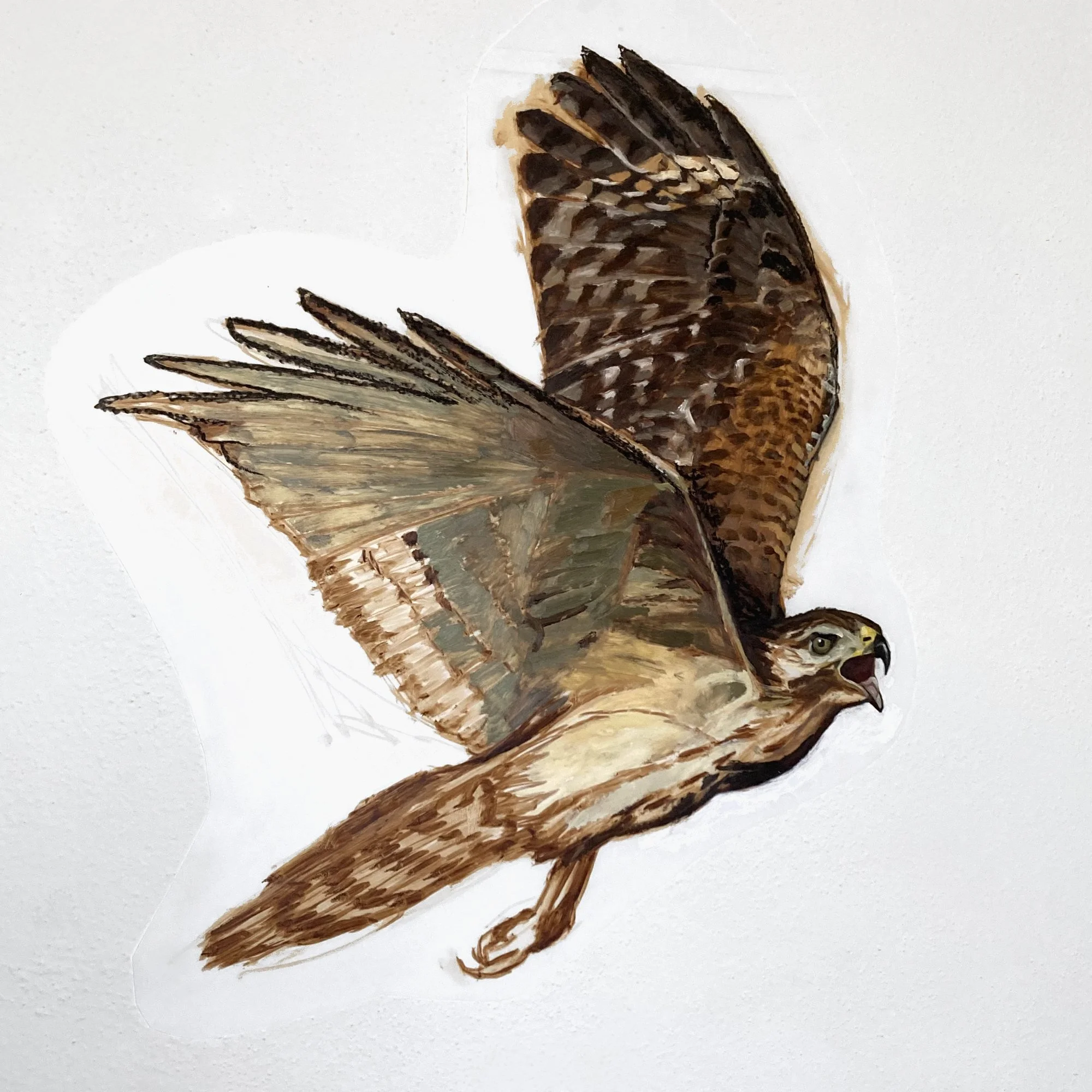 hawk_Natalie Voelker.jpg