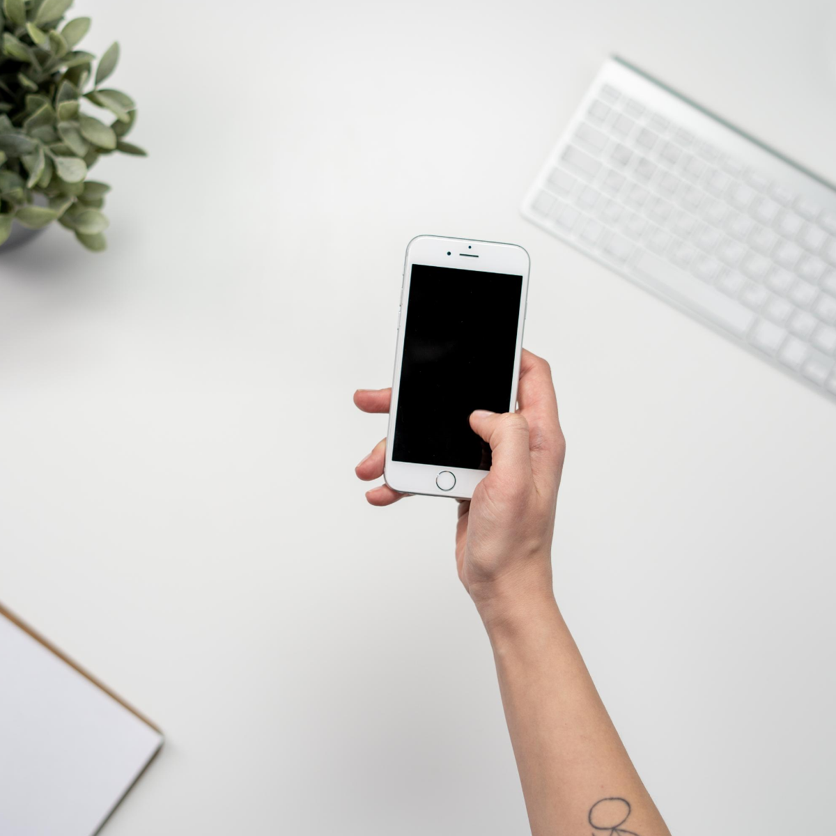 01-contact header.jpg