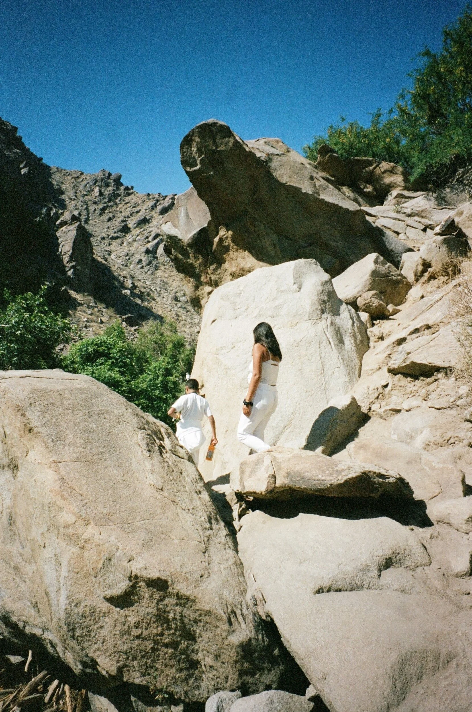 000079500008.jpg