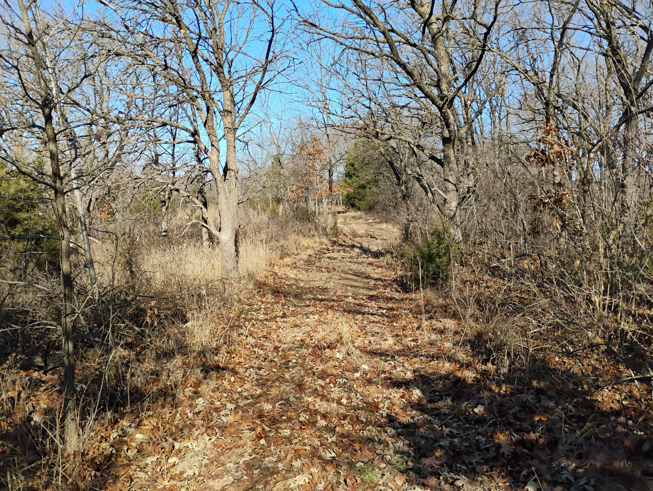 Photo of the trail path that wraps around the pond.