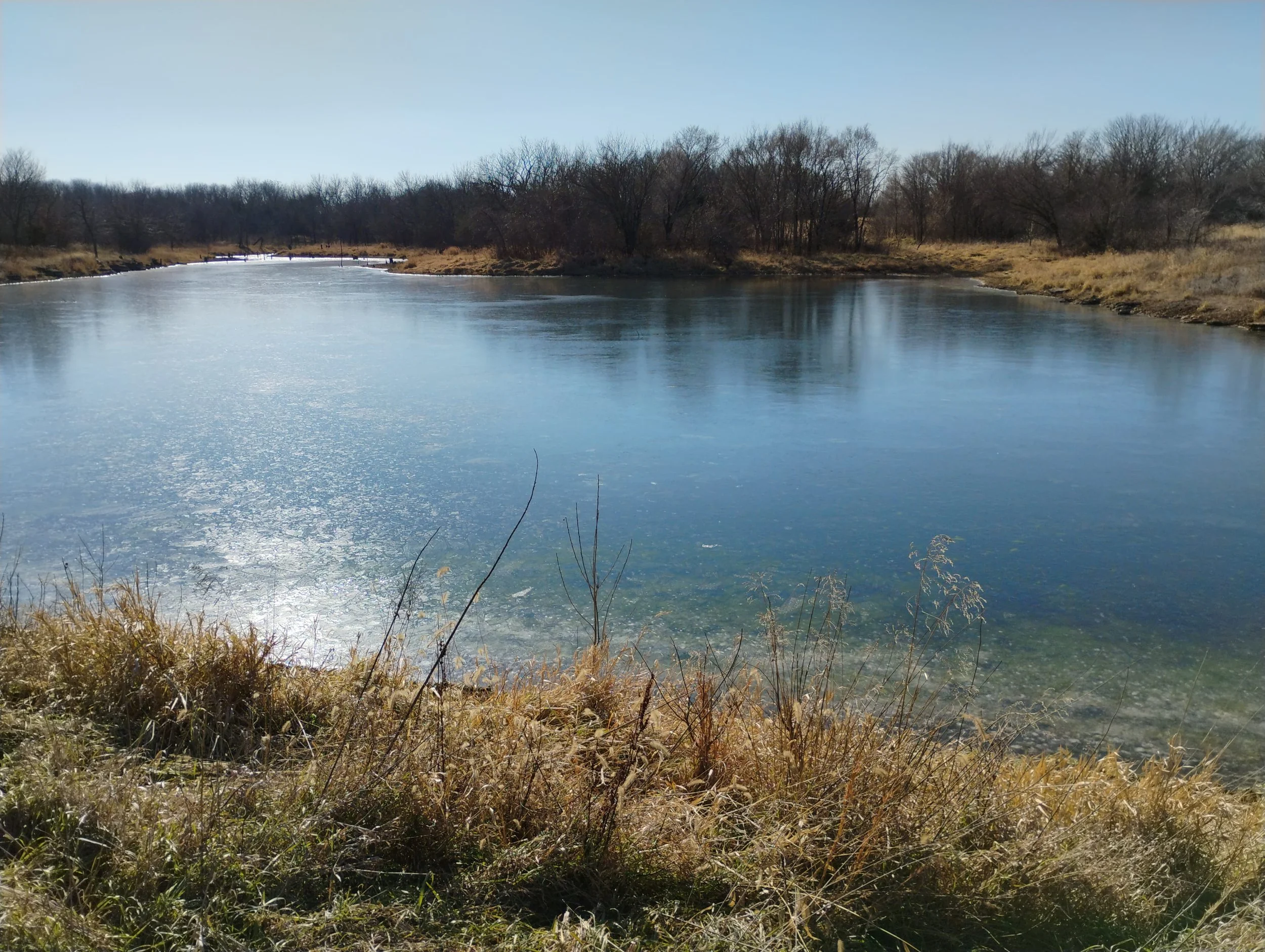 A view of the pond from the dam.