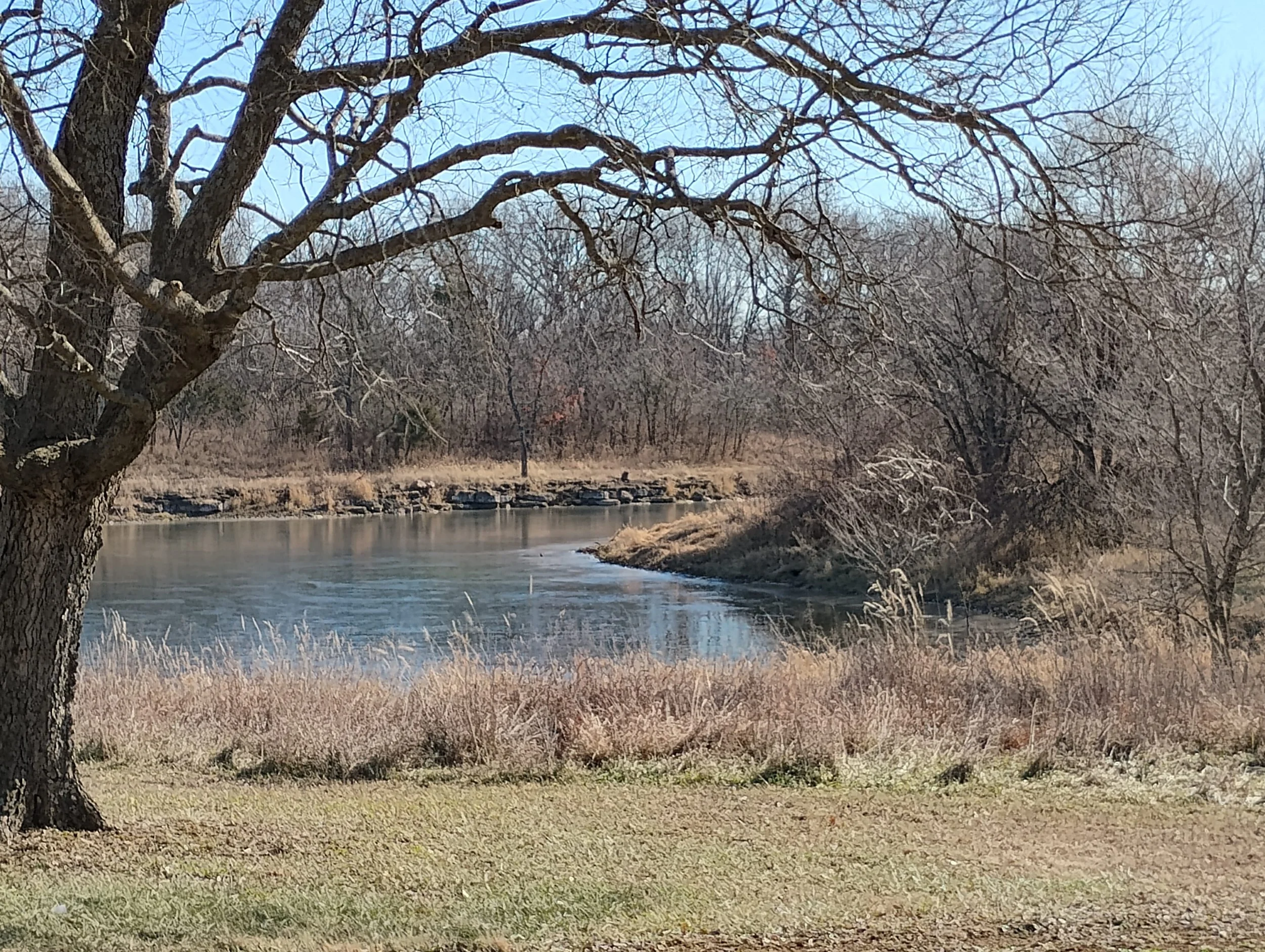 A view of the pond from the property's backyard.