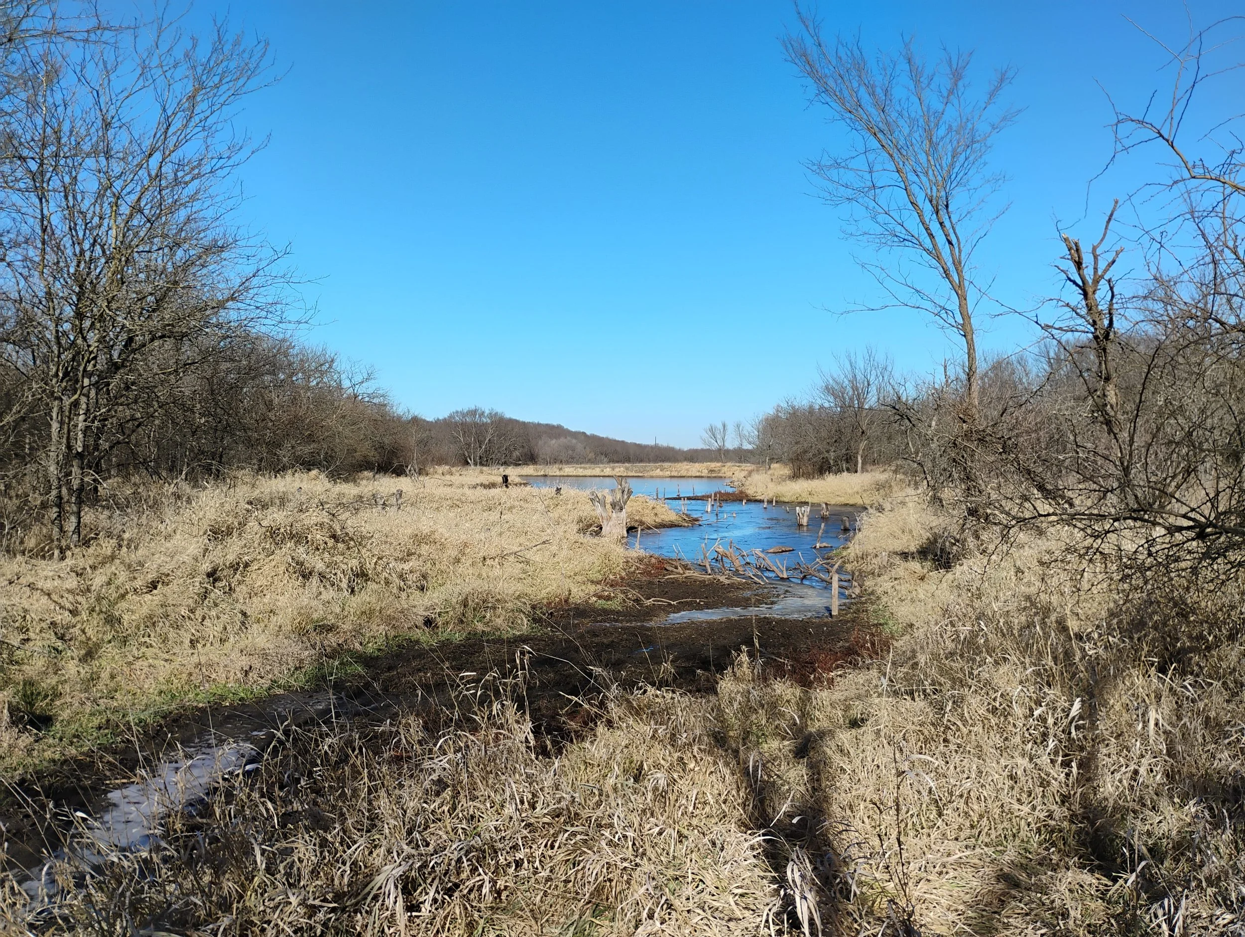 A view of the far south part of the pond on the trail.