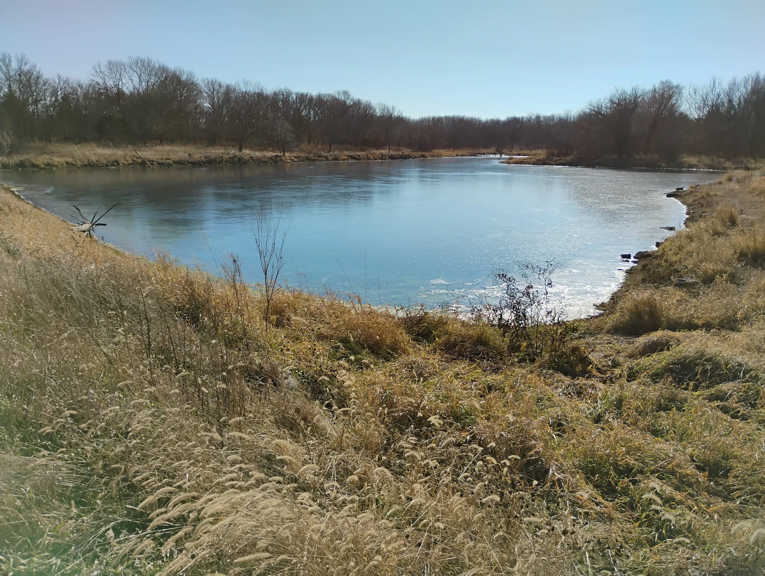 A view of the pond from the trail.