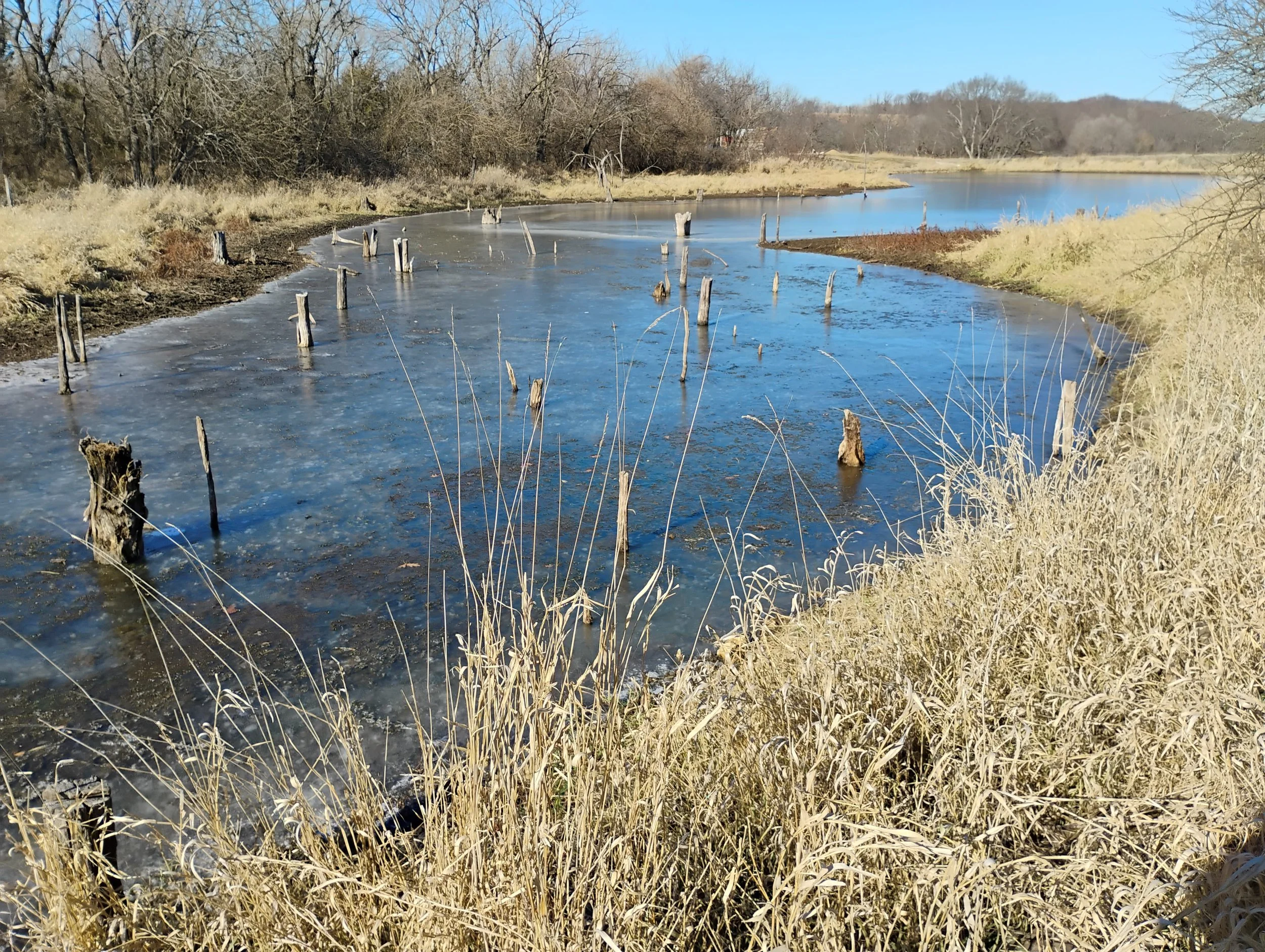 A view of the South section of the pond from the trail.