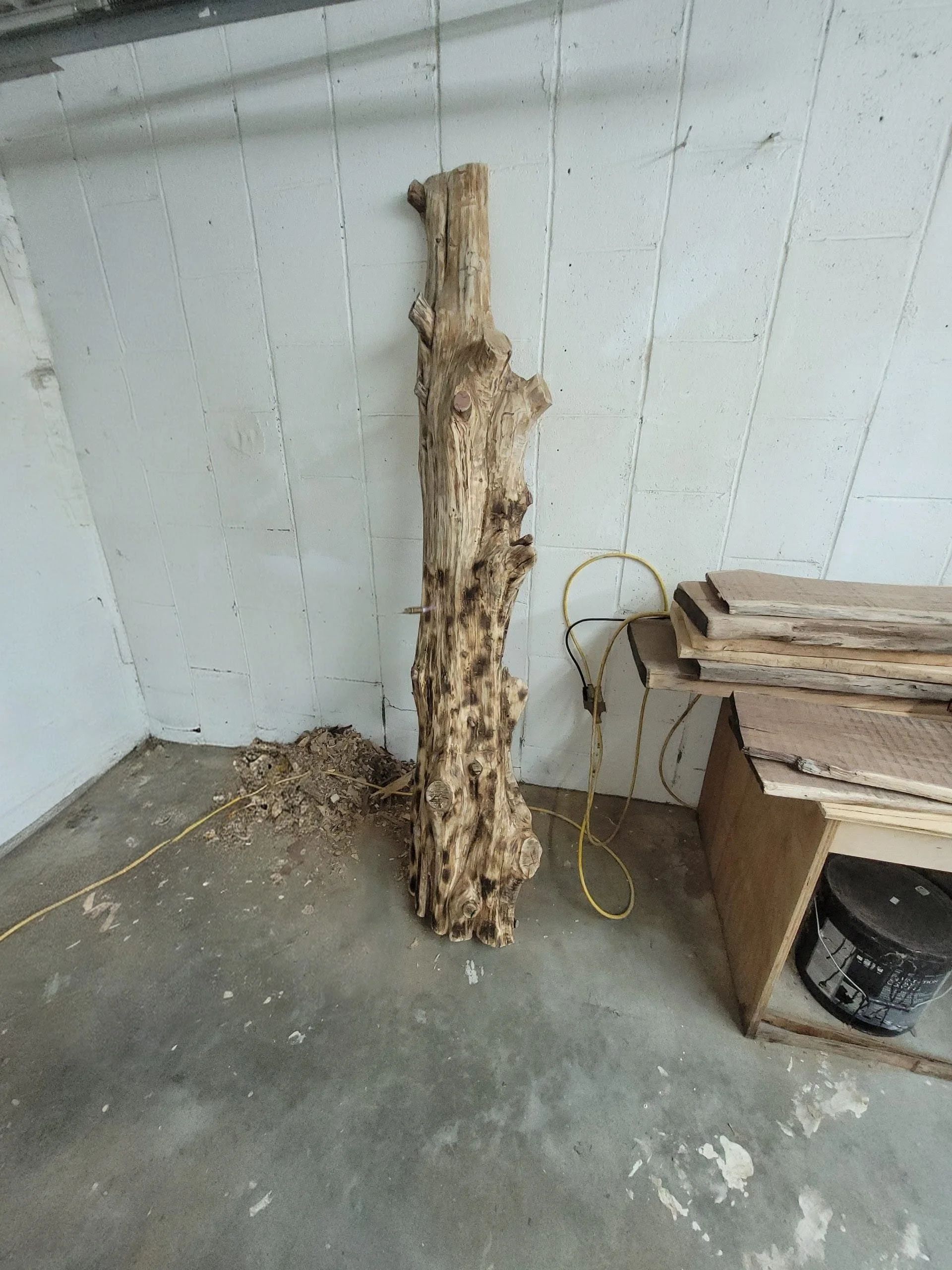 A piece of the wood in the finishing process.