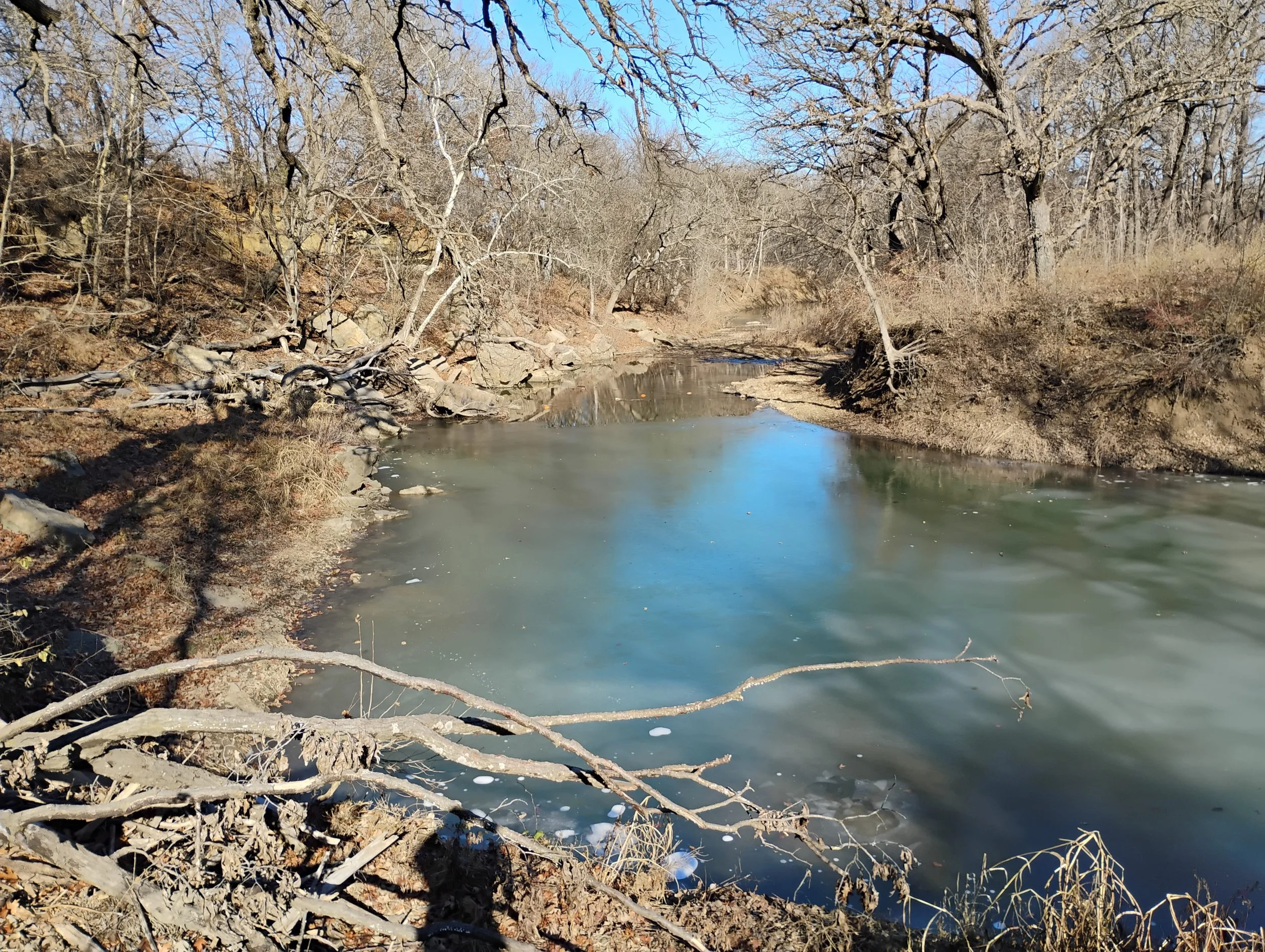 A photo of the creek bed that is located next to the pond.