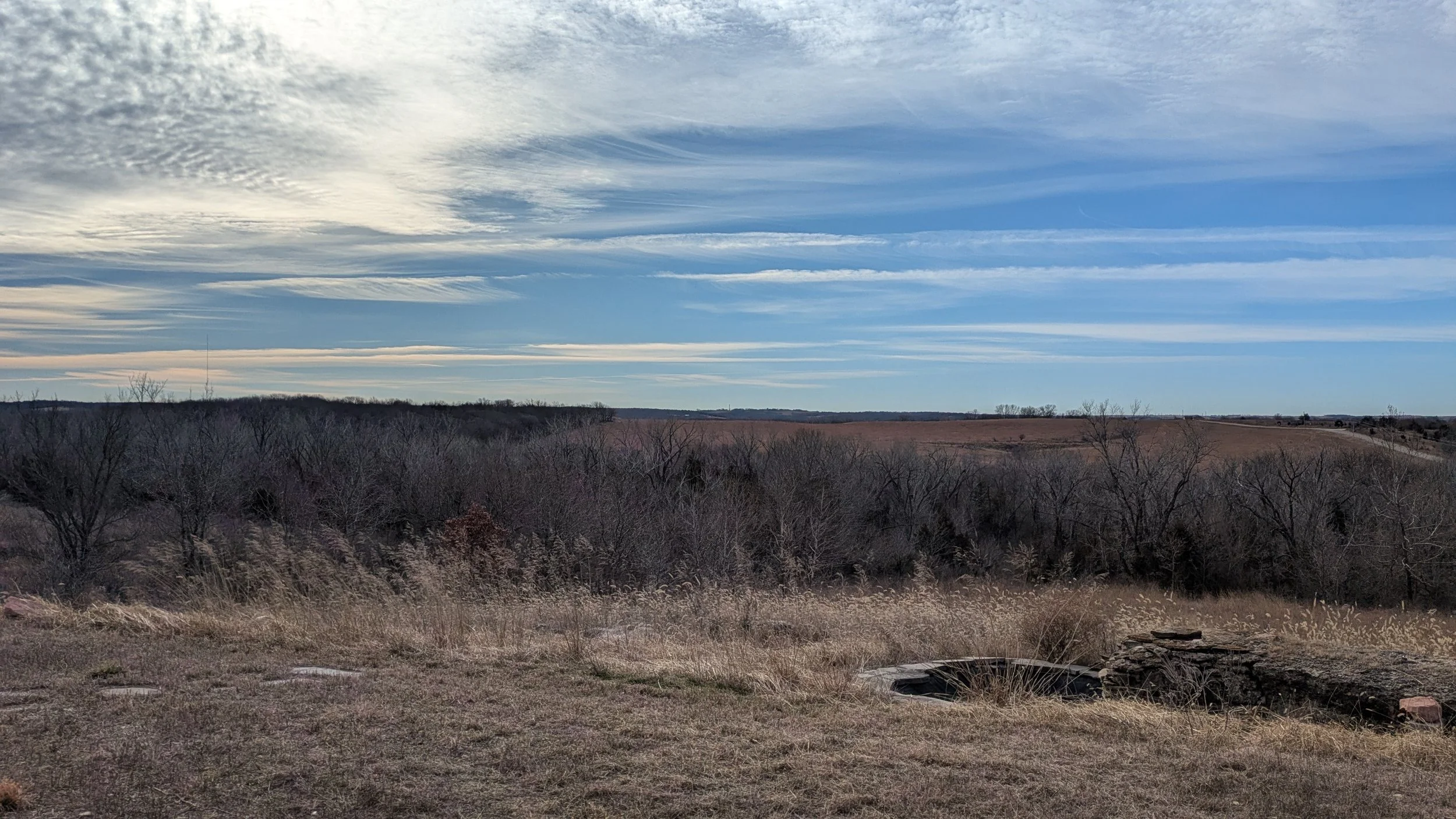 View of the forest, pasture, and hills form the Southern deck.