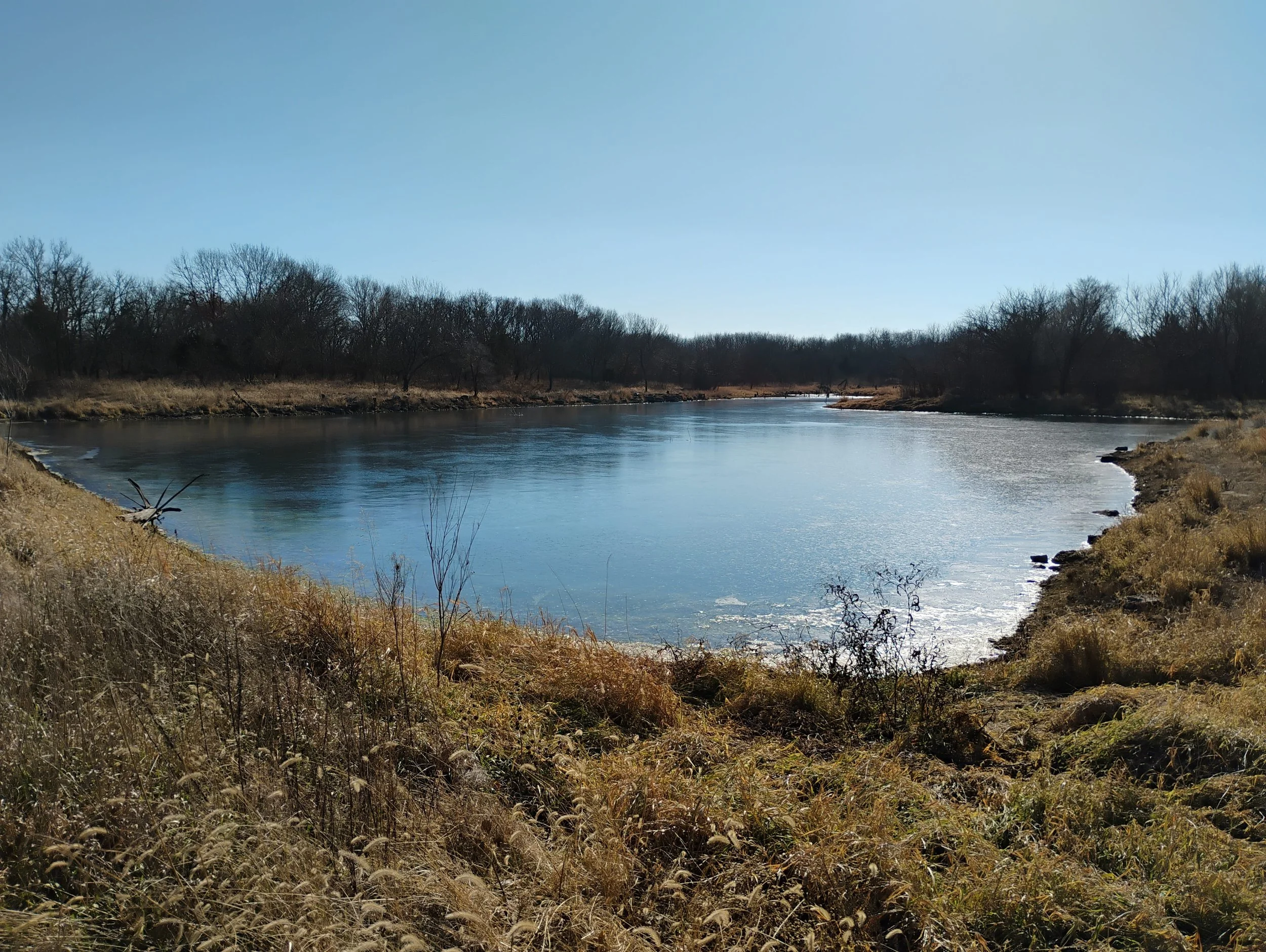 A view of the Northwest corner of the pond.