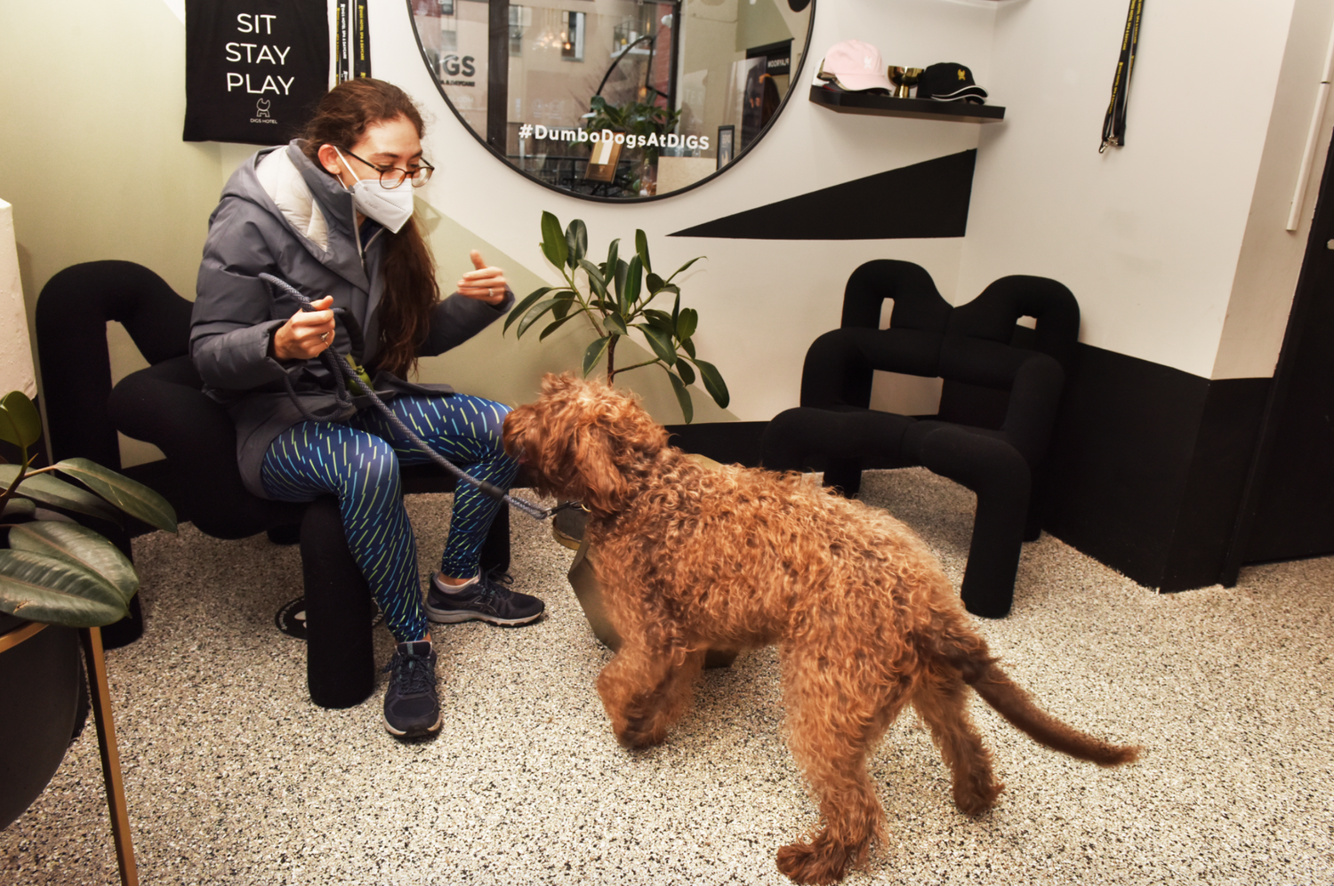 Local Dog Boarding, Dog Grooming and Dog Daycare Service
