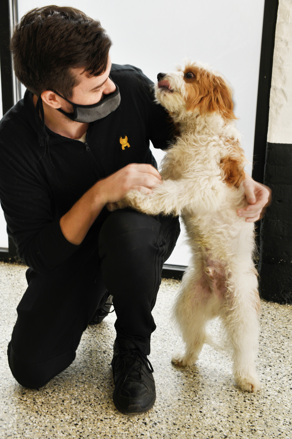 Local Dog Boarding, Dog Grooming and Dog Daycare Service