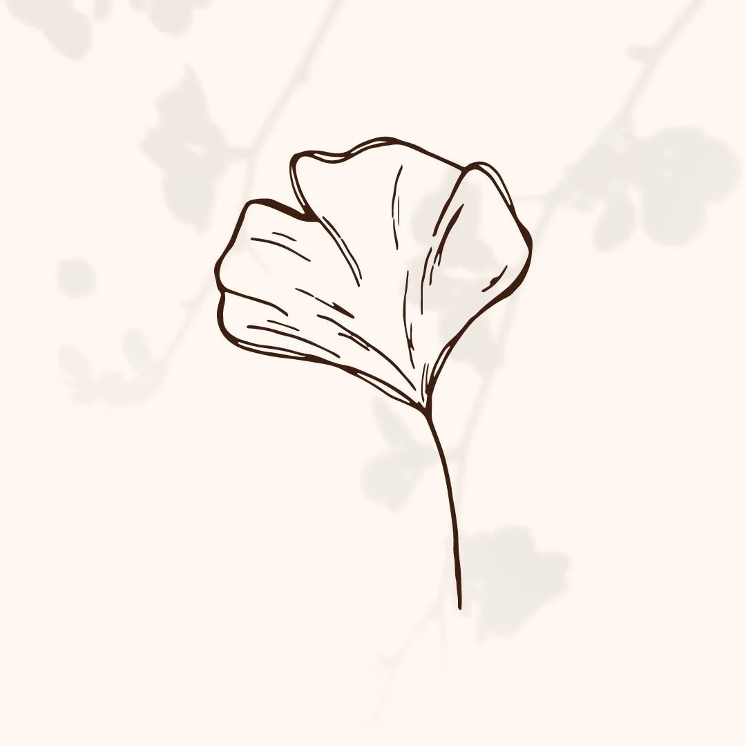 Line drawing of a ginkgo leaf with a faint background of ginkgo branches and leaves.