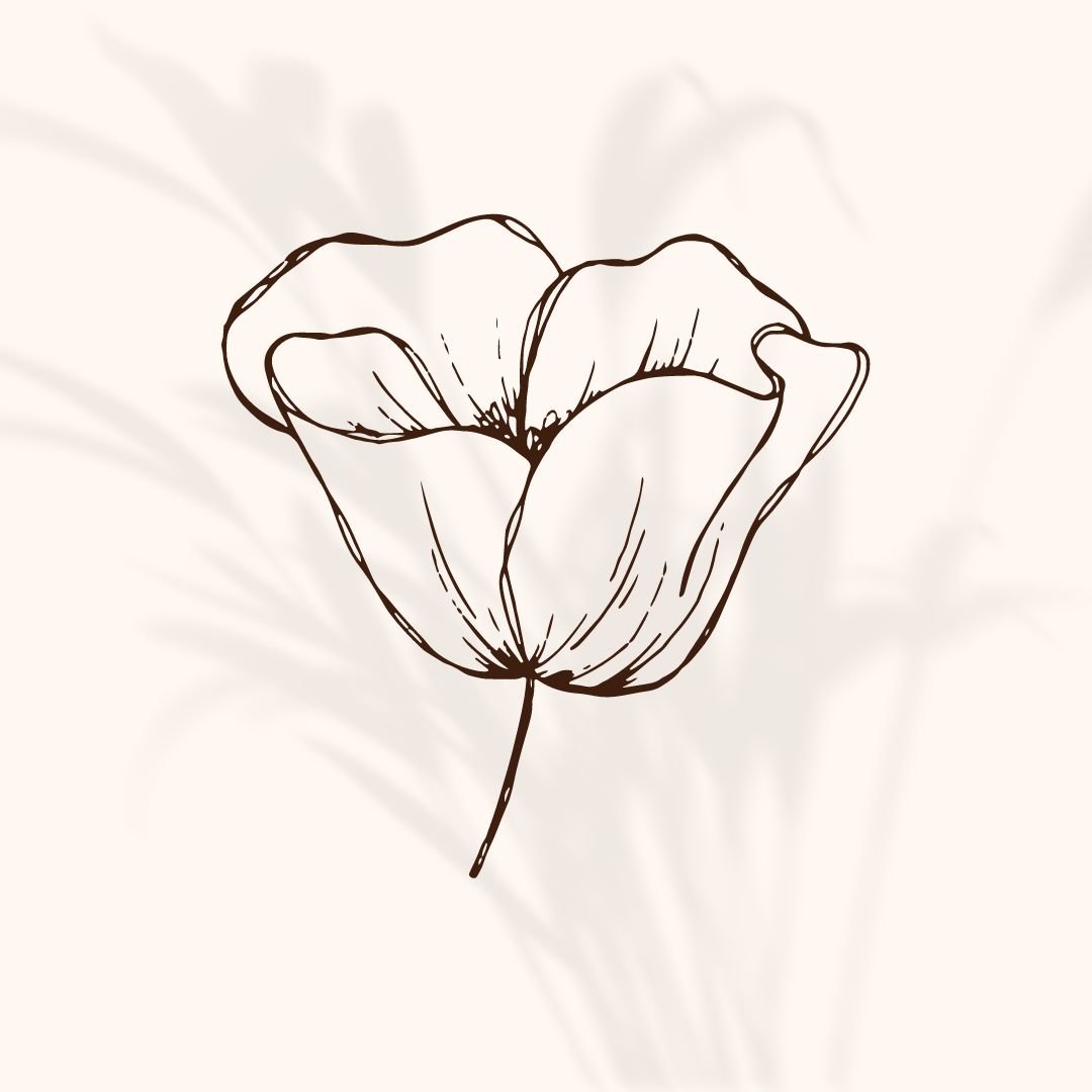Line drawing of a flower with delicate petals on a light background with shadowed leaves.