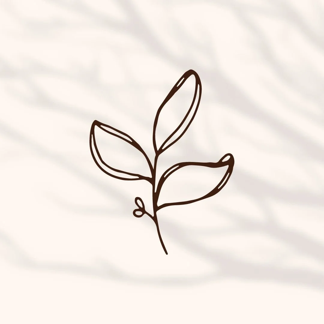 Minimalist line drawing of a small plant with three leaves on a light background.