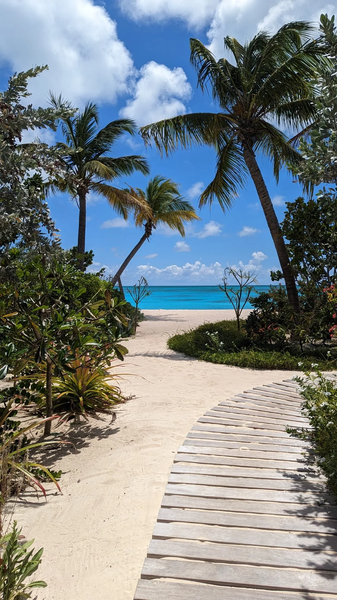 WhatsApp Image 2026-04-28 at 8.30.57 PM.jpeg