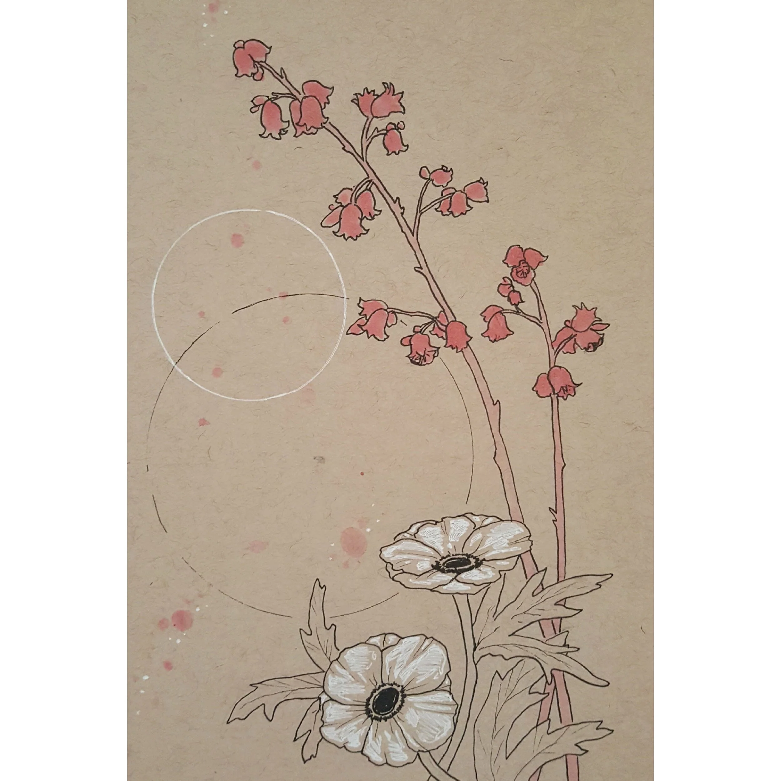 Coral Bells and Anemone
