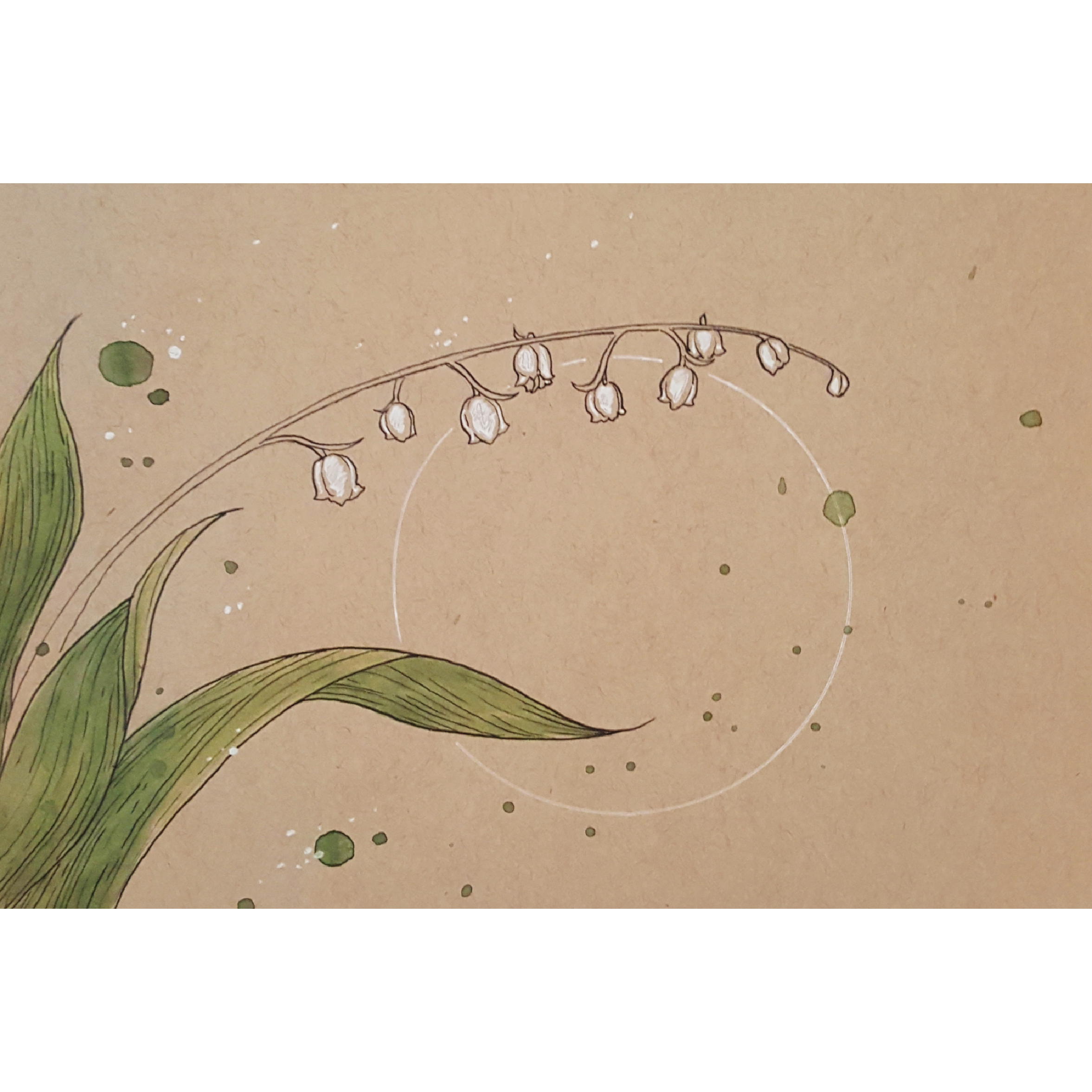 Lily of the Valley #2