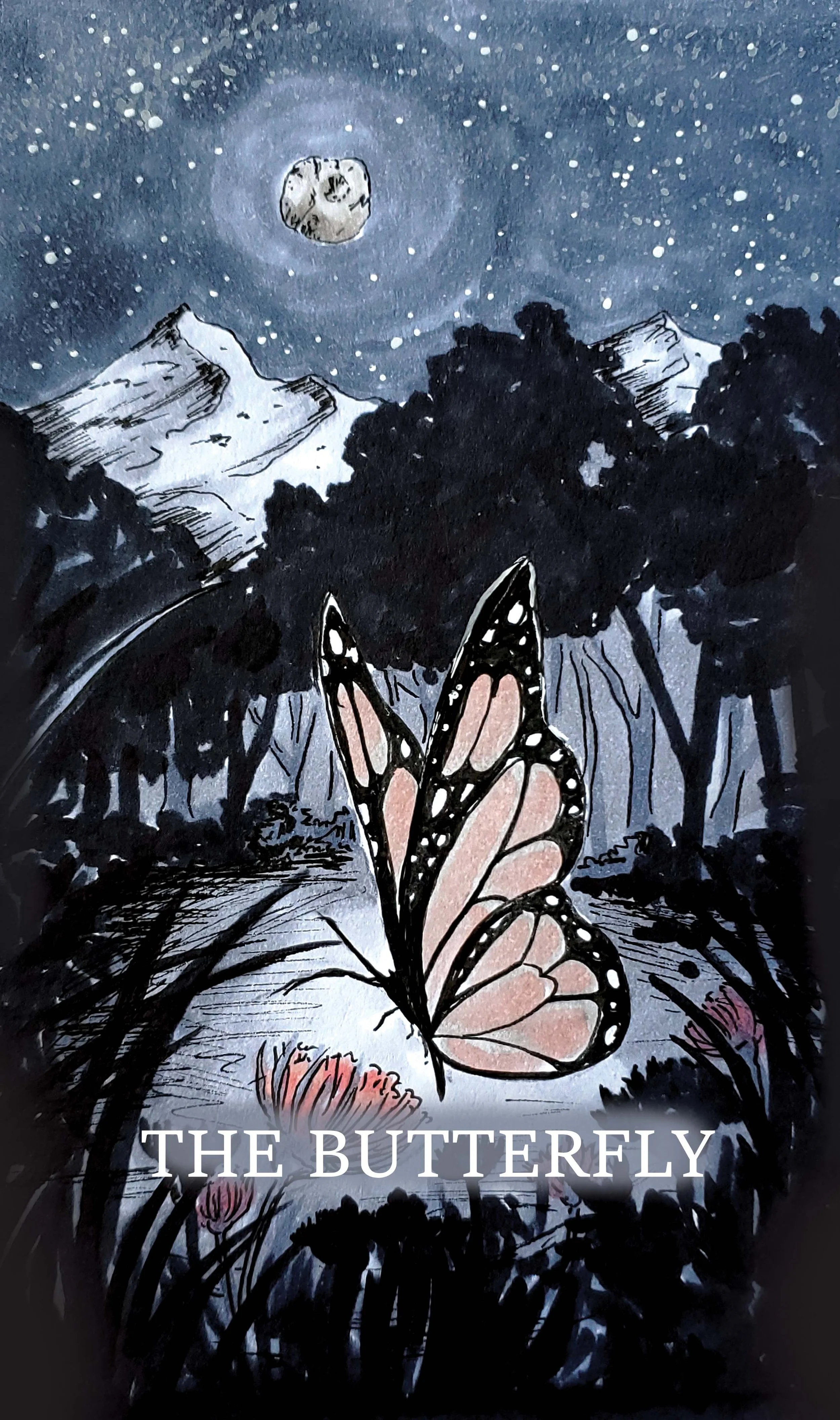 The Butterfly.jpg