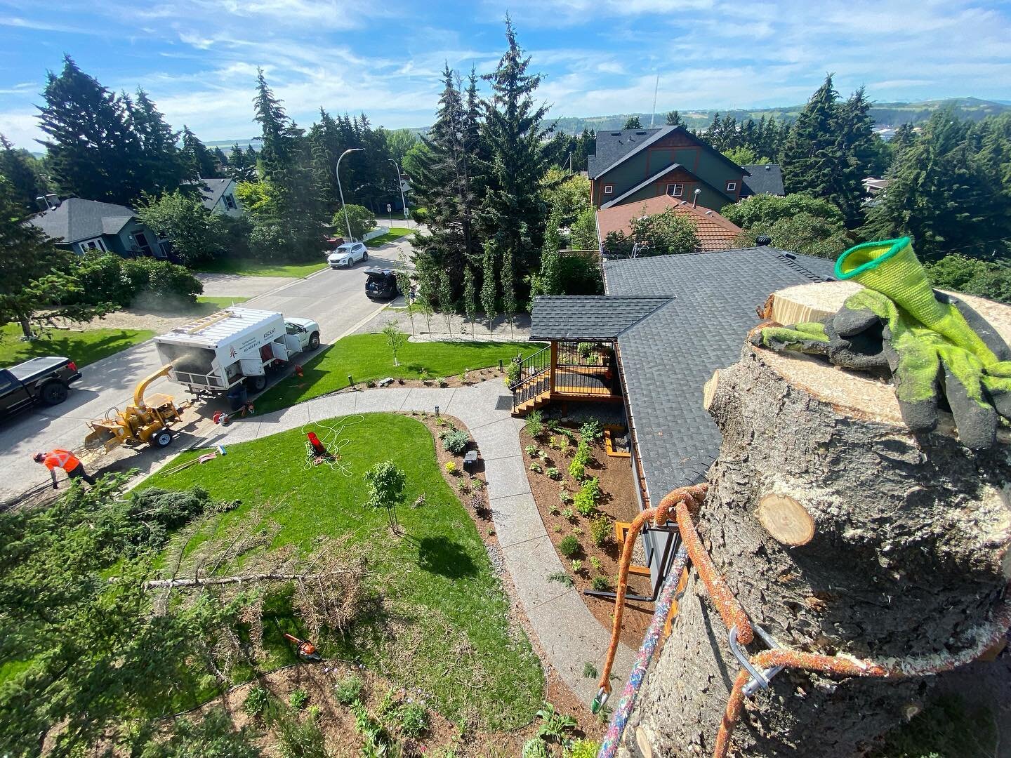 Simon and Vince removing some large spruce in Cochrane, Ab last week. 🪵🌲🪓

#treeremoval
#cochrane
#smallbusiness
#localbusiness
#treeservice
#arborist
#alberta
#cochraneab 
#cochranealberta