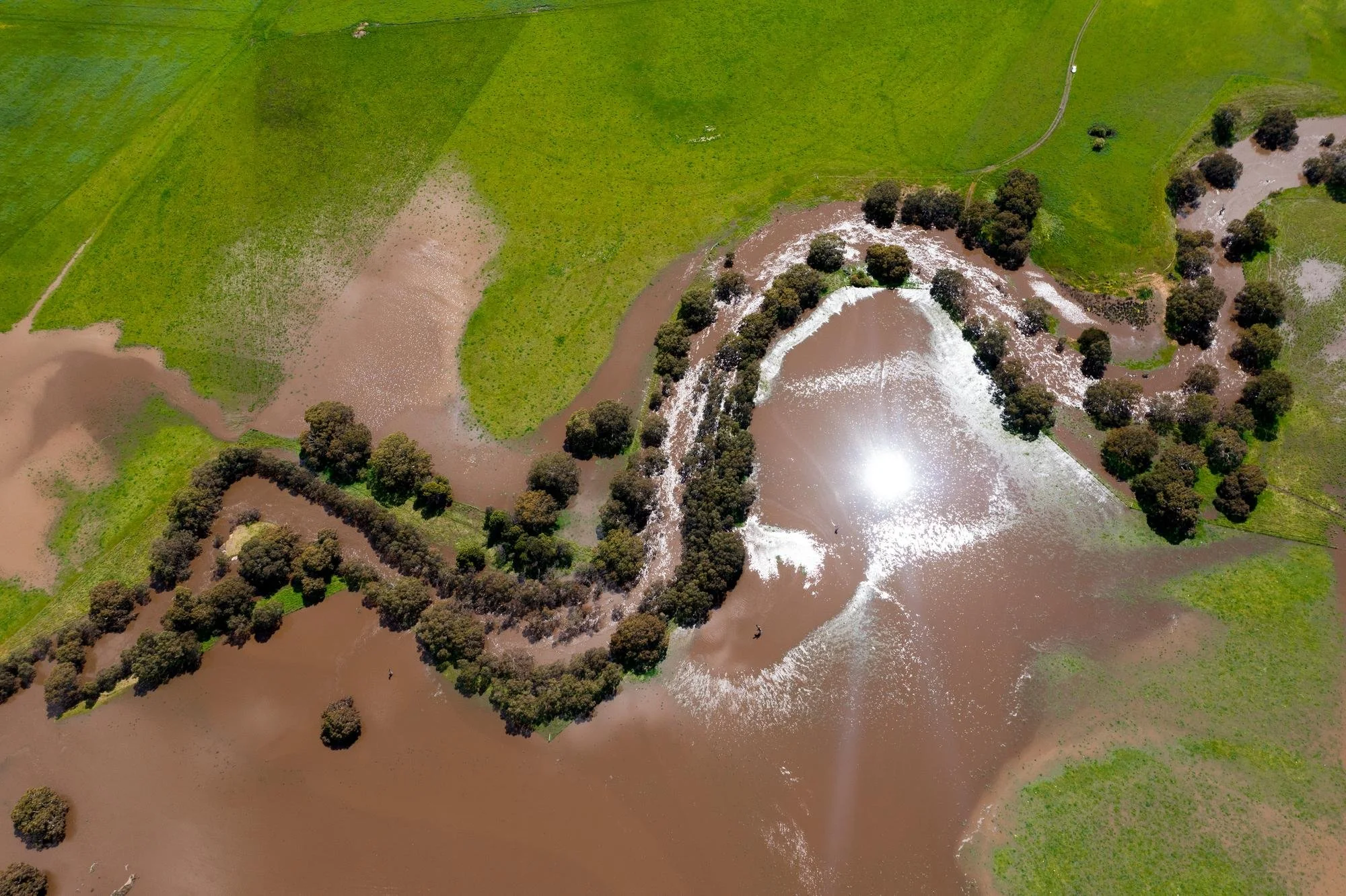 A Winter Guide to Flood Awareness, Wet Weather and Property Purchases Across Central West NSW