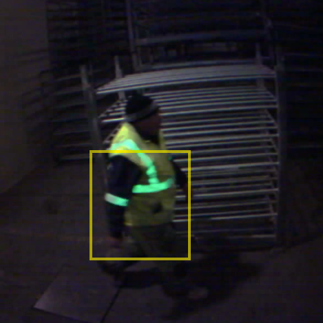 Detection Example.png