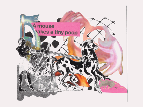 Mouse_Makes_Tiny_Poop.gif