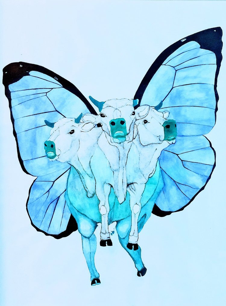 Enlight127.jpeg