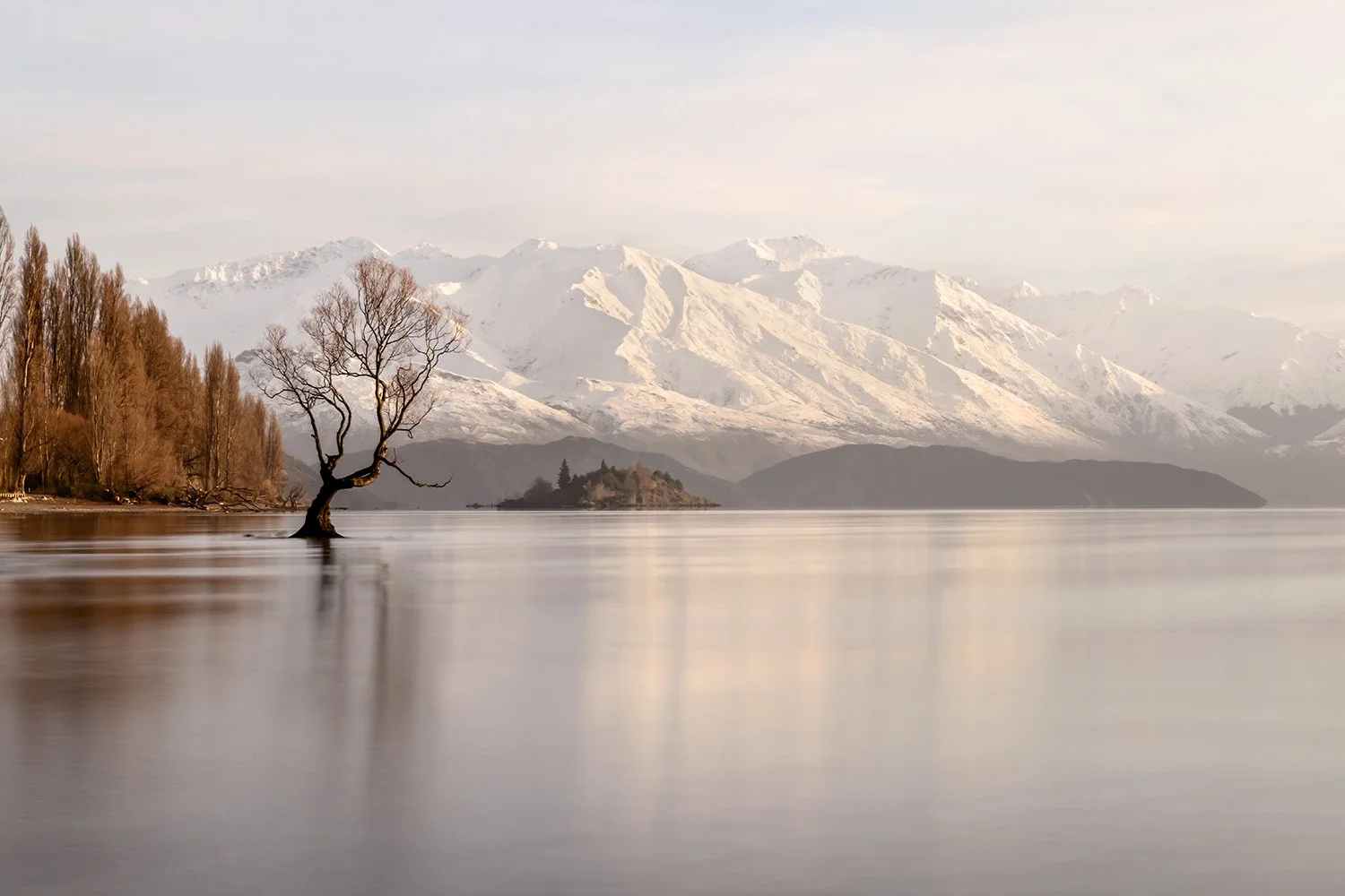 The Wanaka Tree Commercial Photography