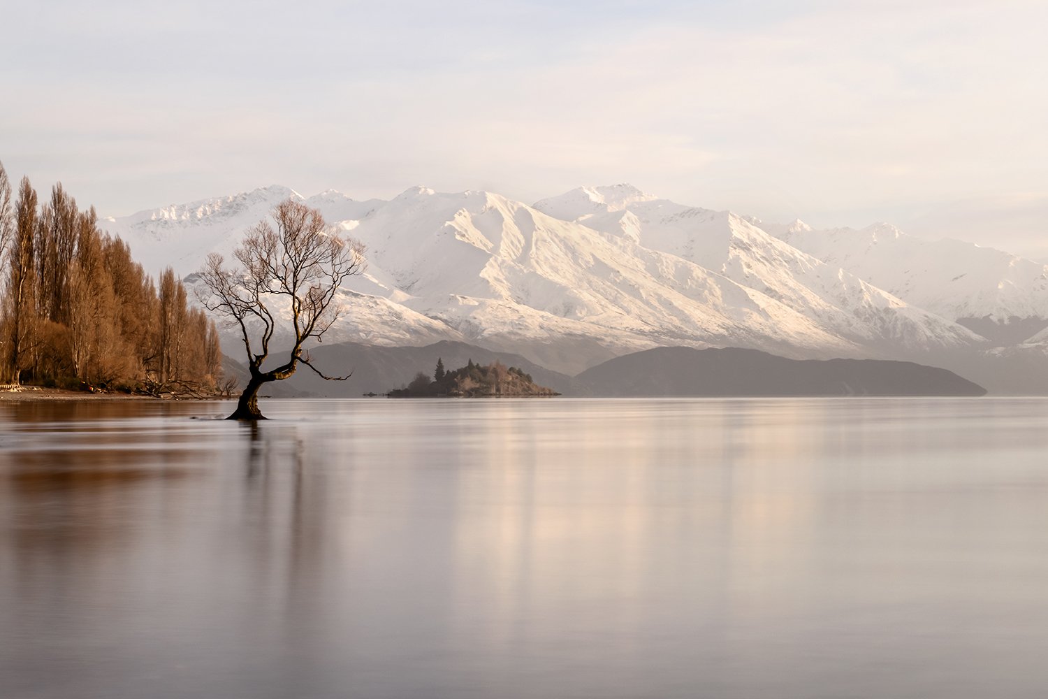 Wanaka Tree July 2022 - WEB.jpg