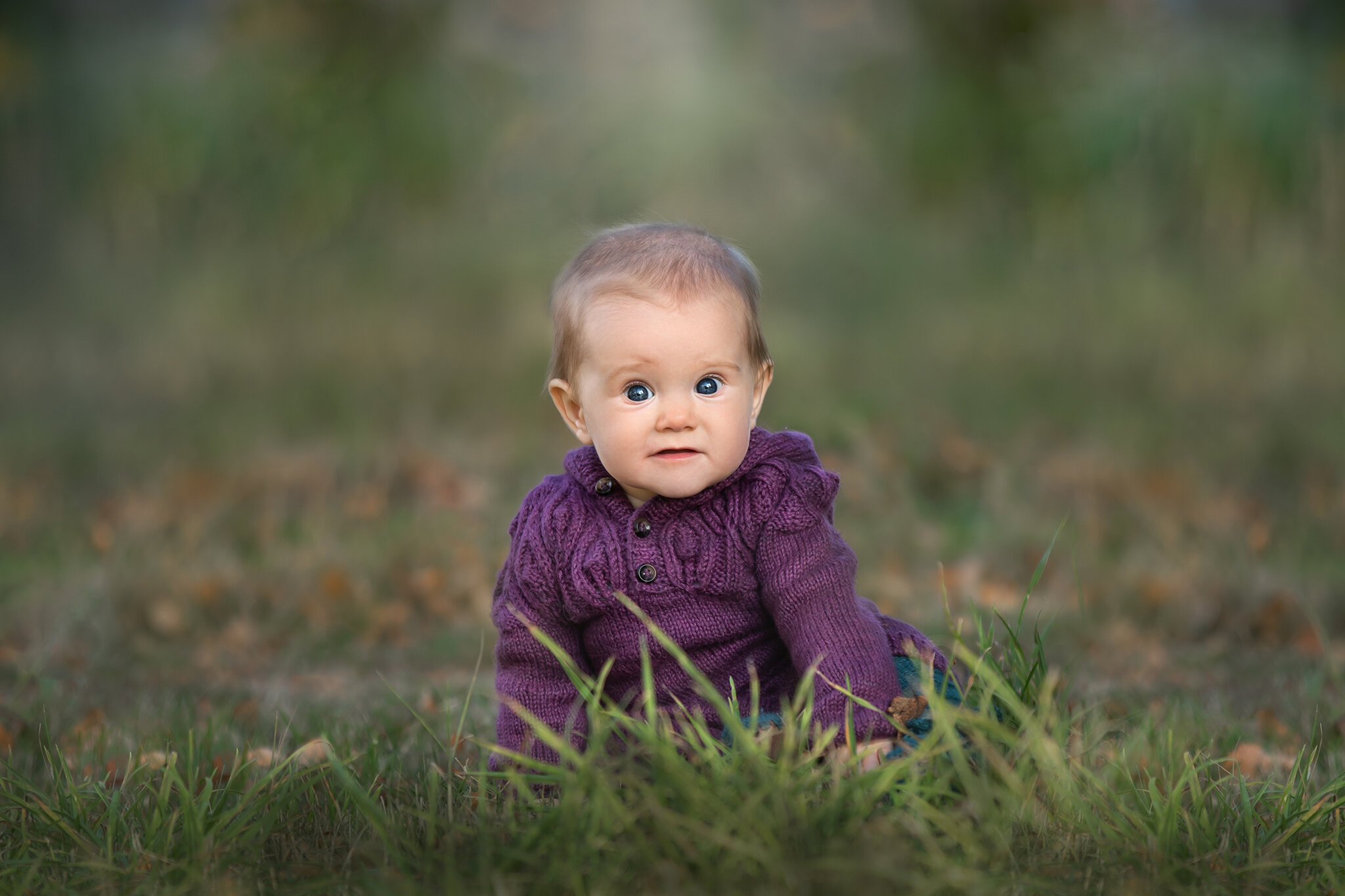 toddler photography Wanaka