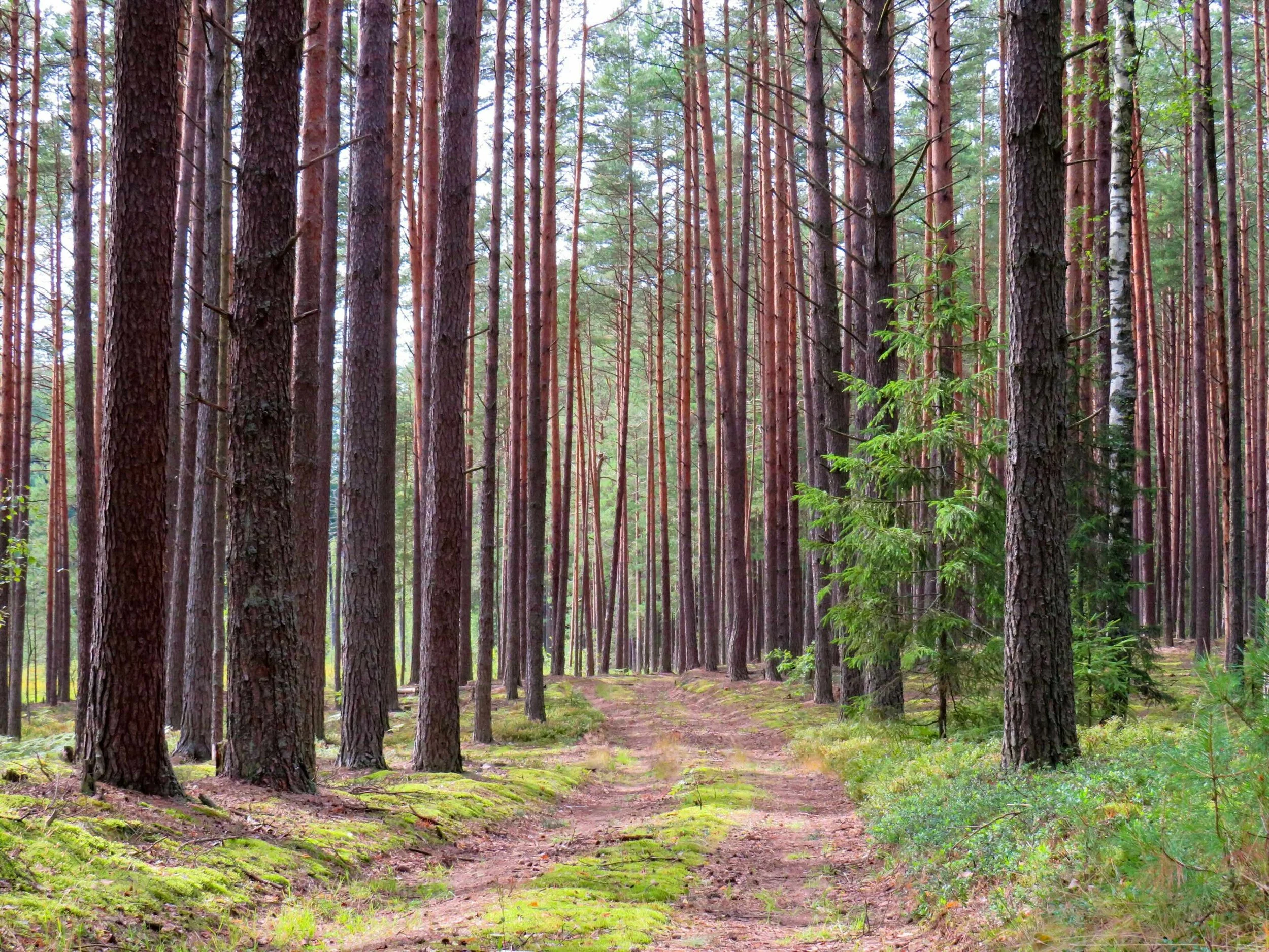 Taking a Summer Break