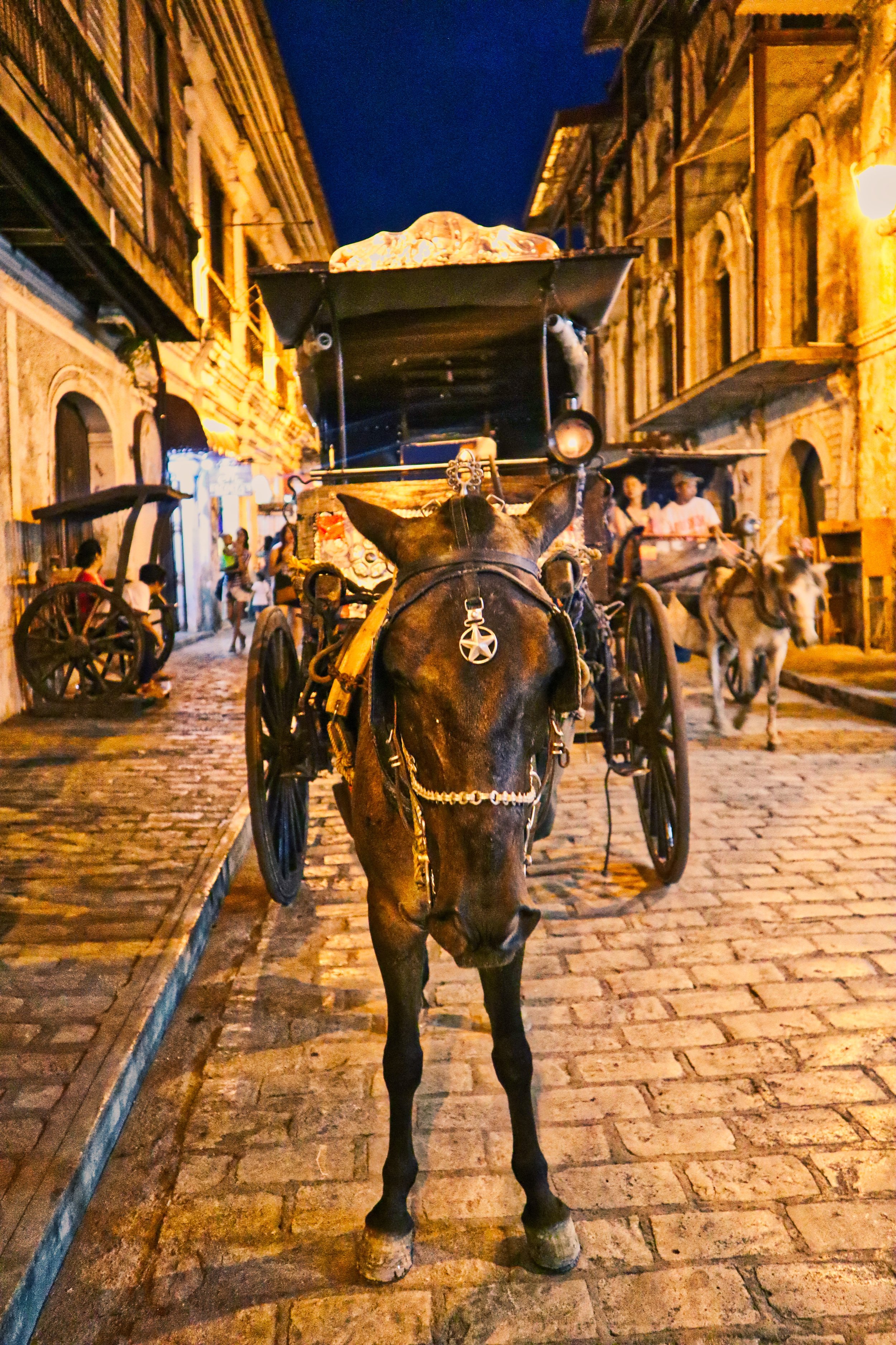 Vigan Ilocos Philippines