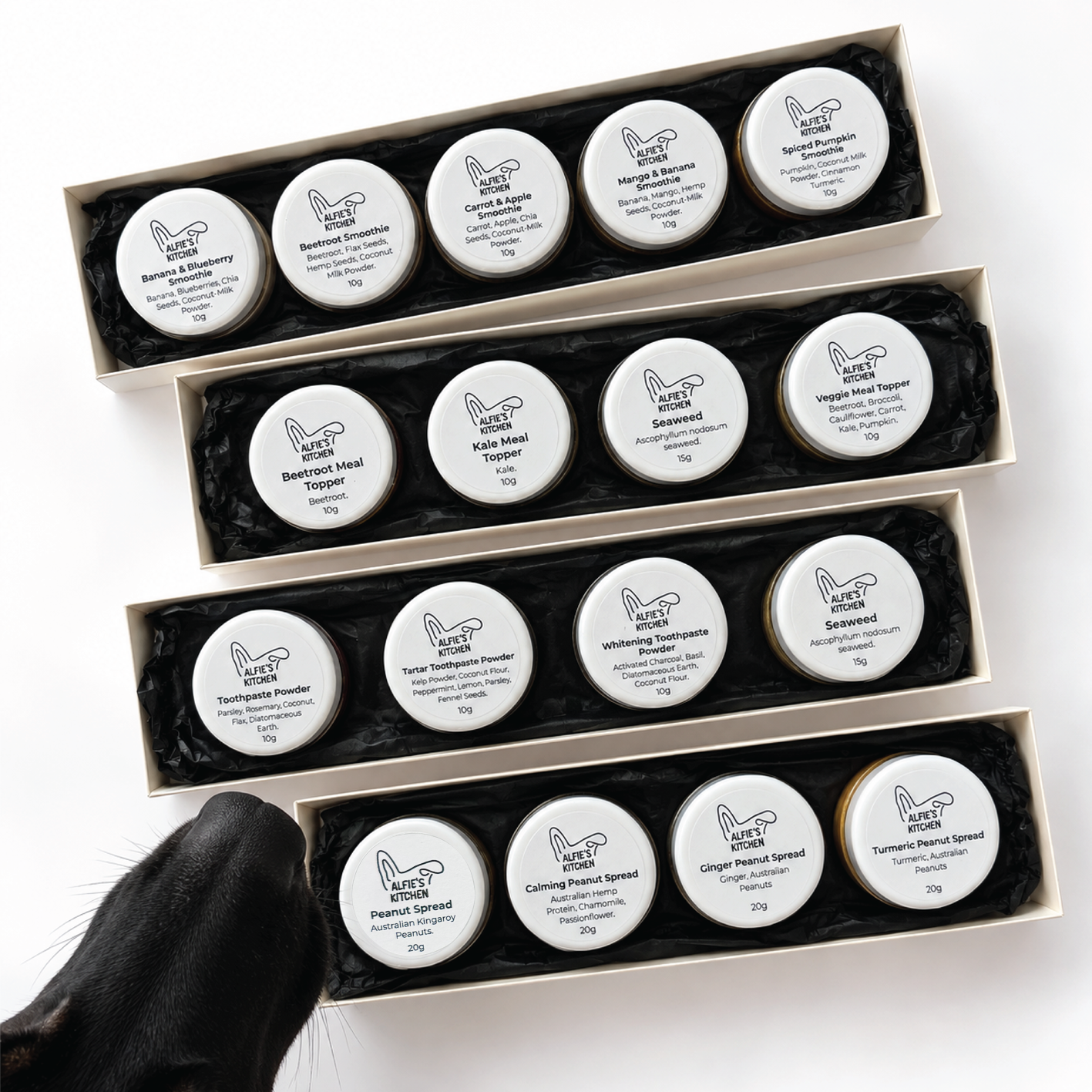 Sample Boxes